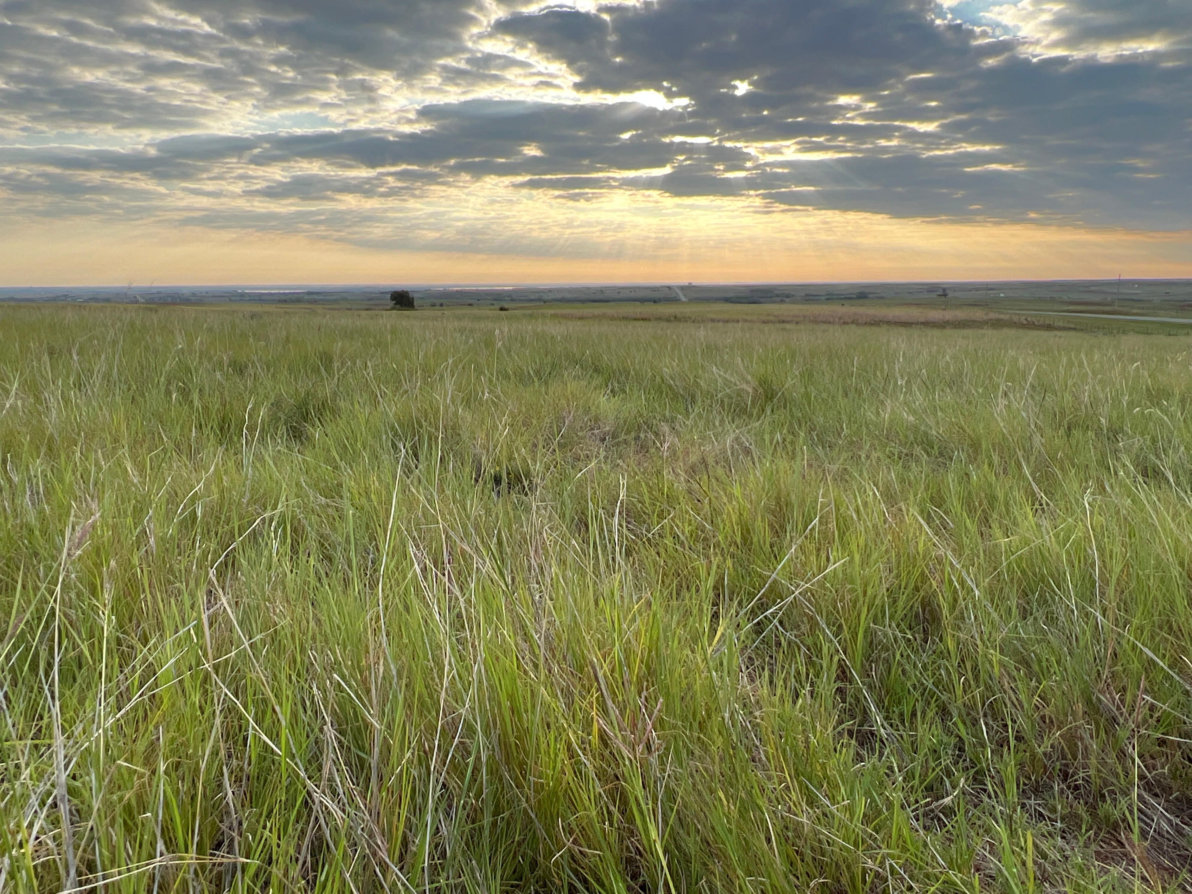 Hammon, Custer County, OK Farms and Ranches, Hunting Property for sale