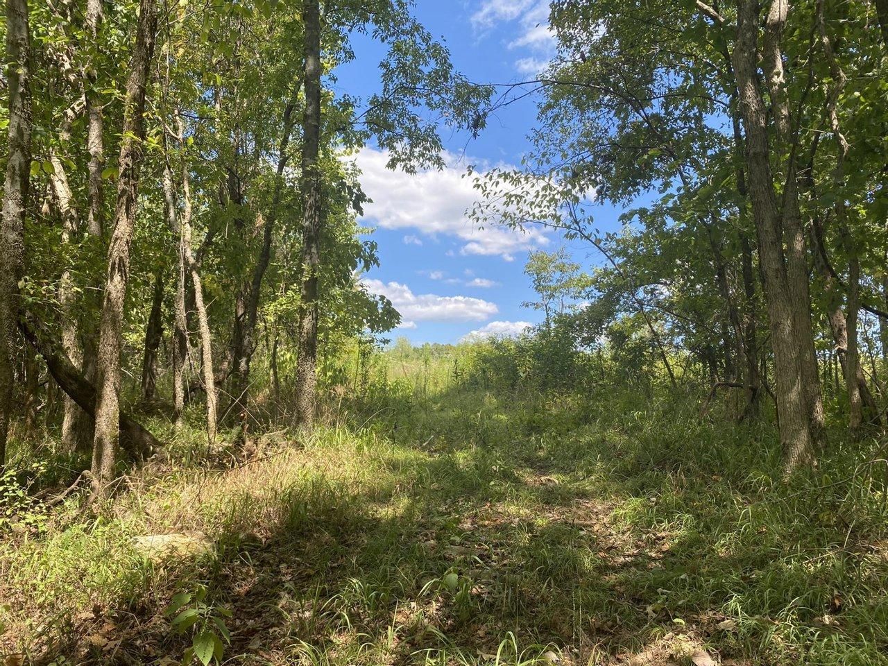 Cherokee, Colbert County, AL Farms and Ranches, Recreational Property
