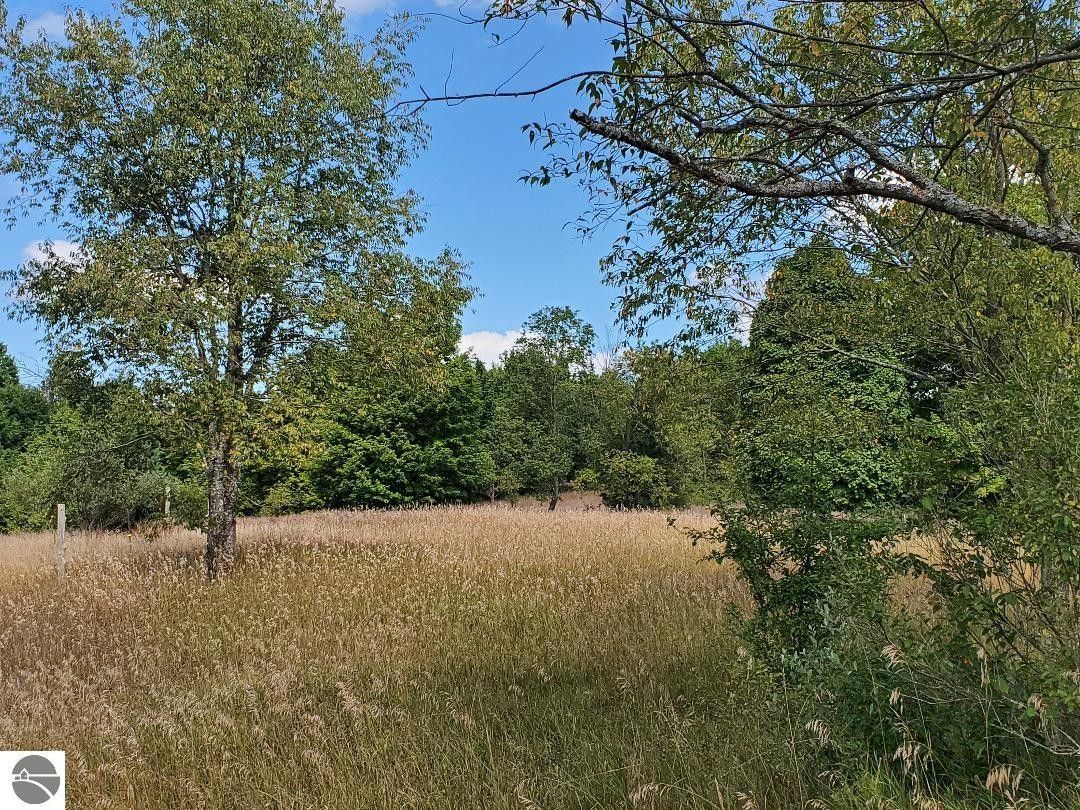 Mesick, Wexford County, MI Undeveloped Land, Lakefront Property