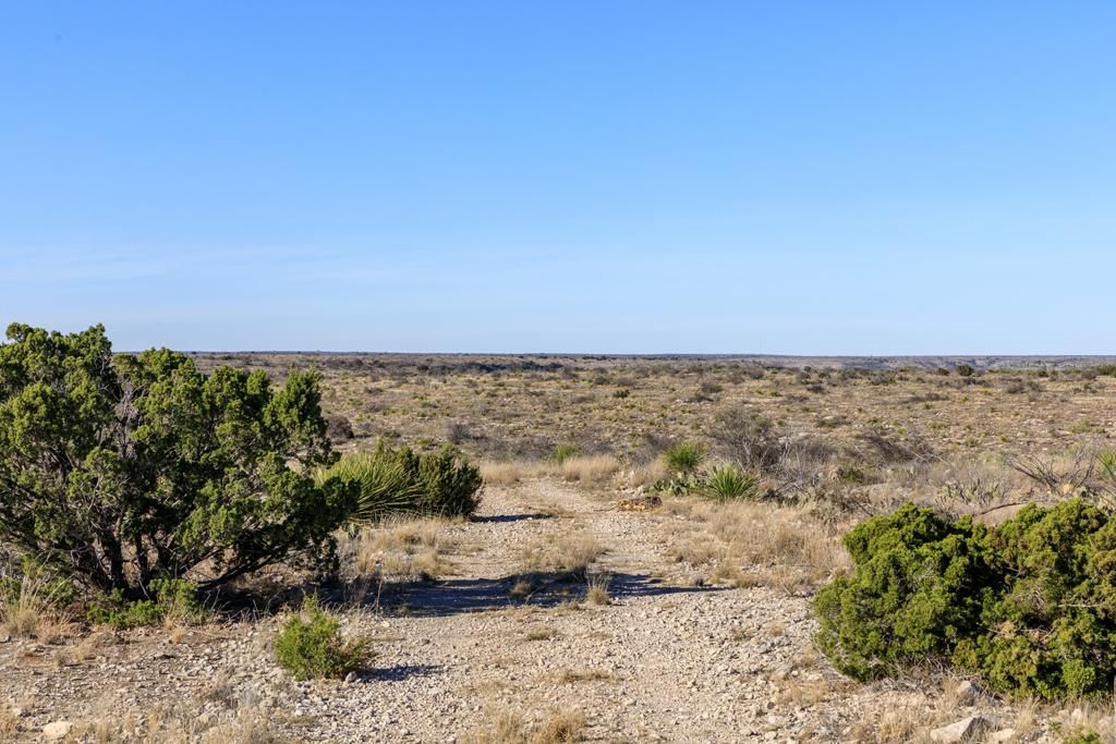 Ozona, Crockett County, TX Farms and Ranches, Hunting Property for sale