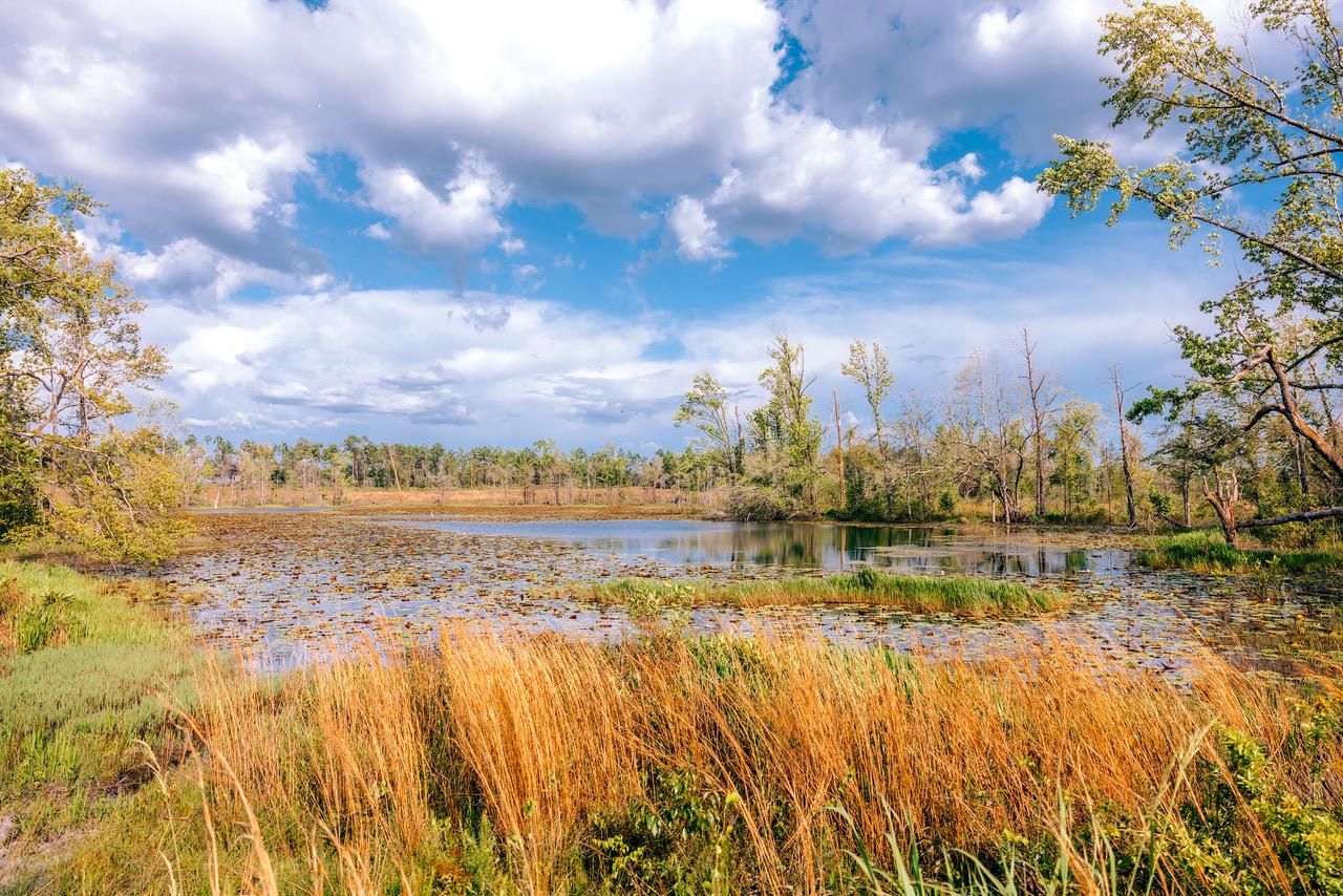 Donalsonville, Seminole County, GA Farms and Ranches, Recreational