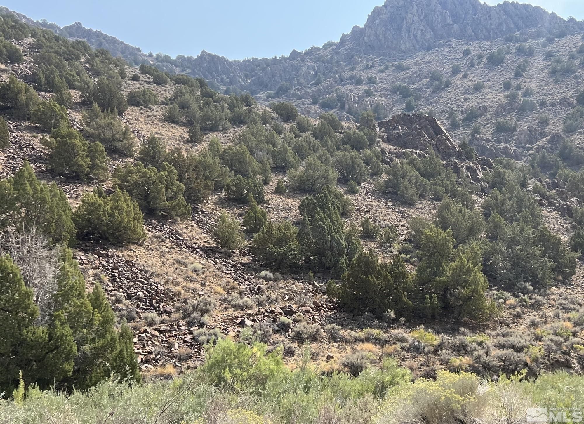 Unionville, Pershing County, NV Undeveloped Land for sale Property ID