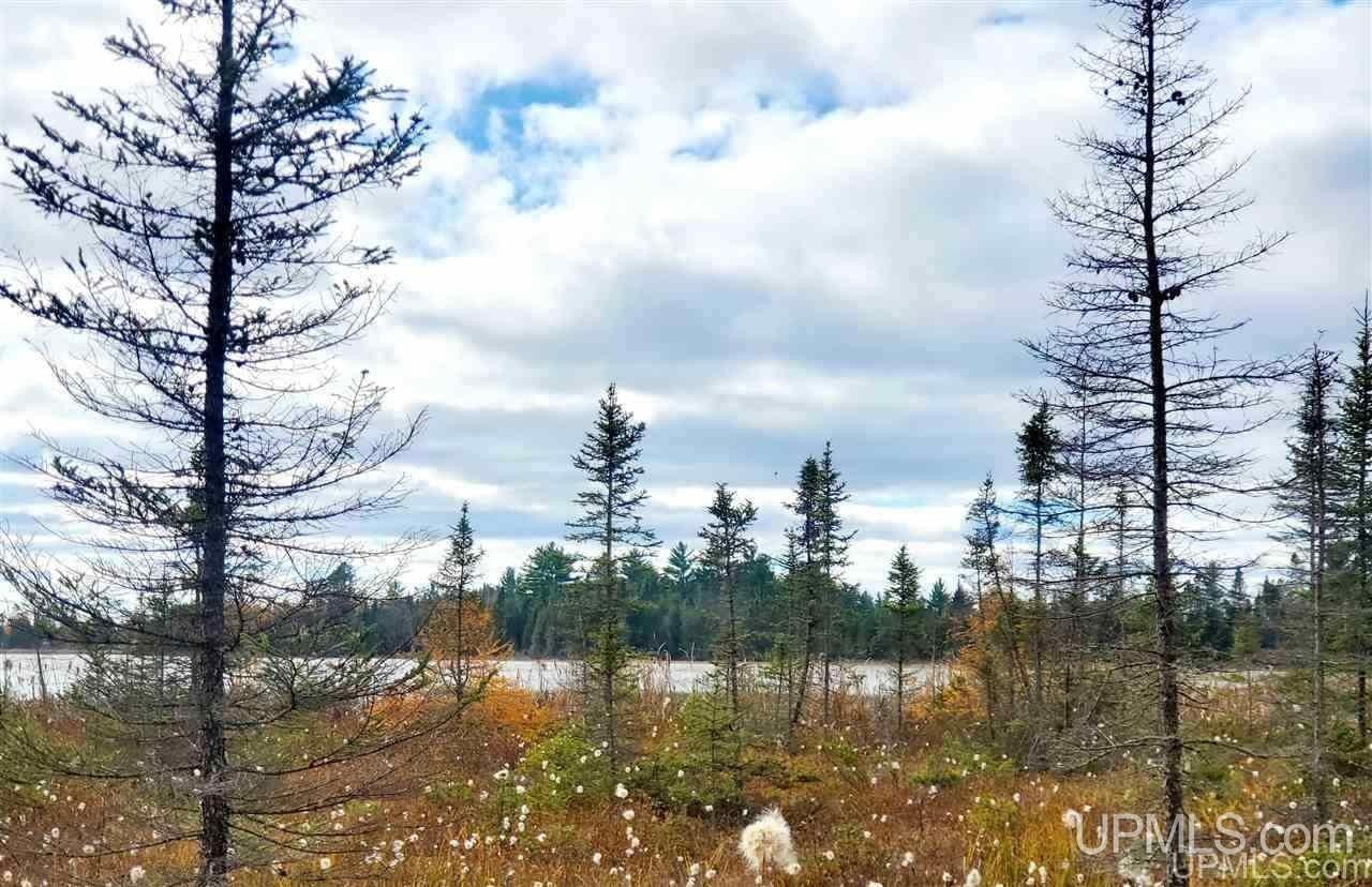 Gwinn, Marquette County, MI Undeveloped Land, Lakefront Property