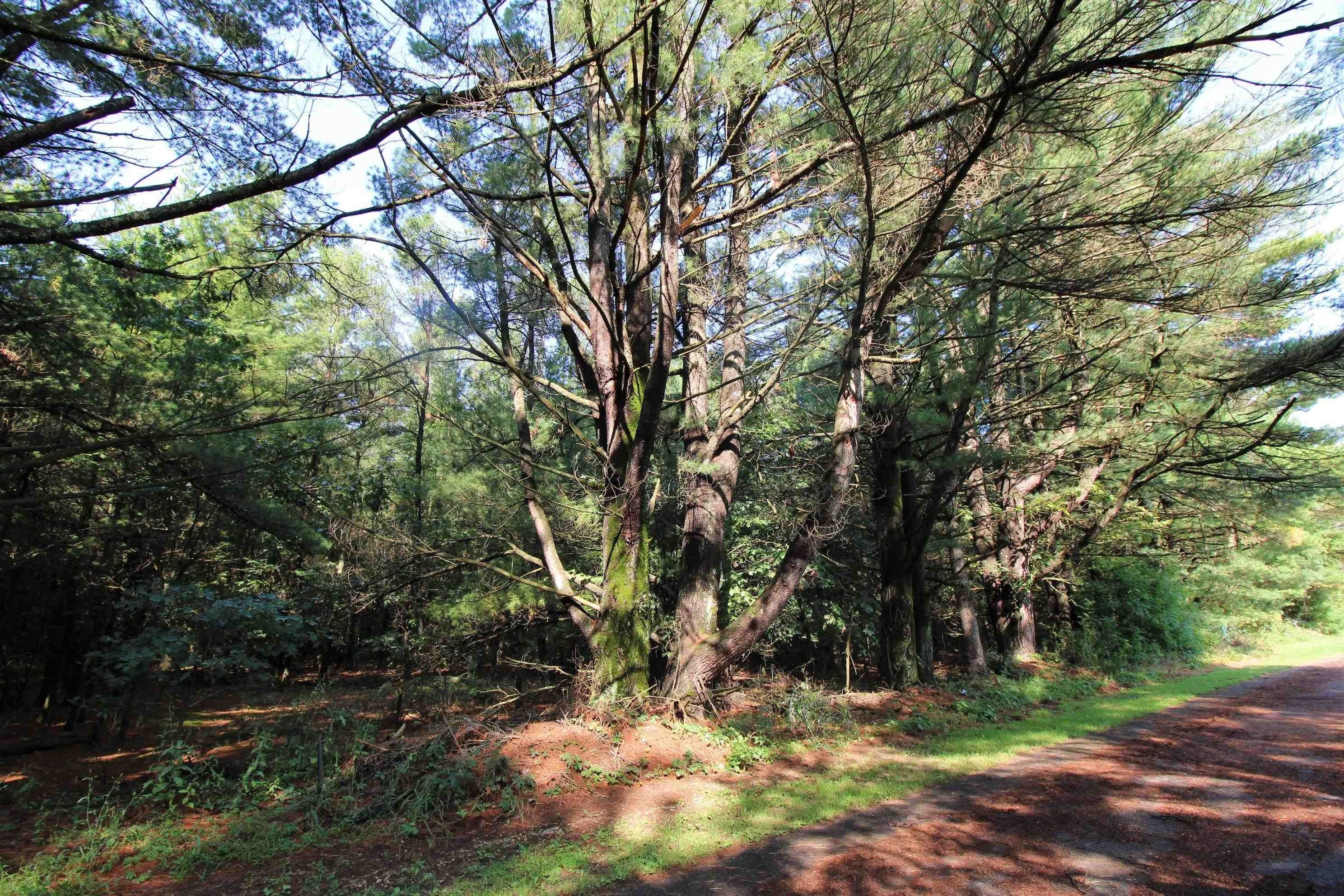 Mauston, Juneau County, WI Undeveloped Land, Homesites for sale