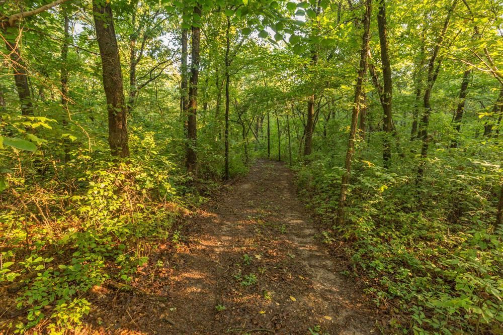 Lincoln, Benton County, MO Recreational Property, Timberland Property