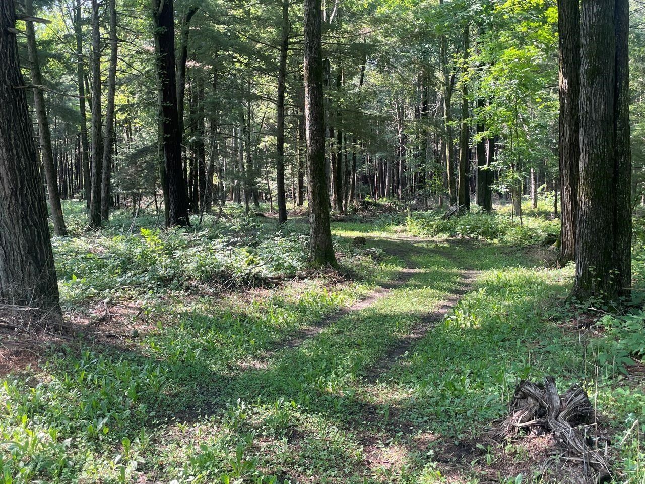 Shawano, Shawano County, WI Undeveloped Land for sale Property ID