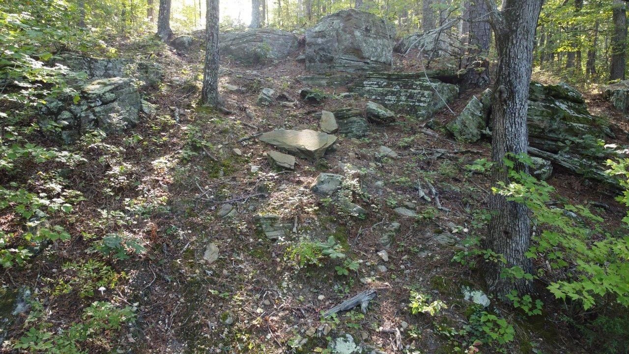 Hartshorn, Texas County, MO Recreational Property for sale Property ID