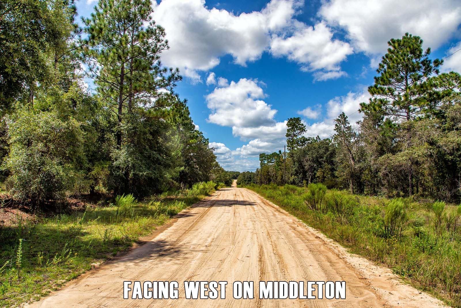 Hawthorne, Putnam County, FL Recreational Property, Undeveloped Land