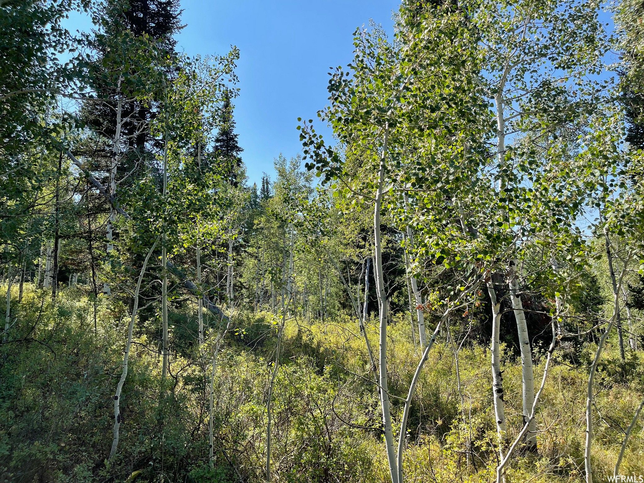 Oakley, Summit County, UT Undeveloped Land, Homesites for sale Property