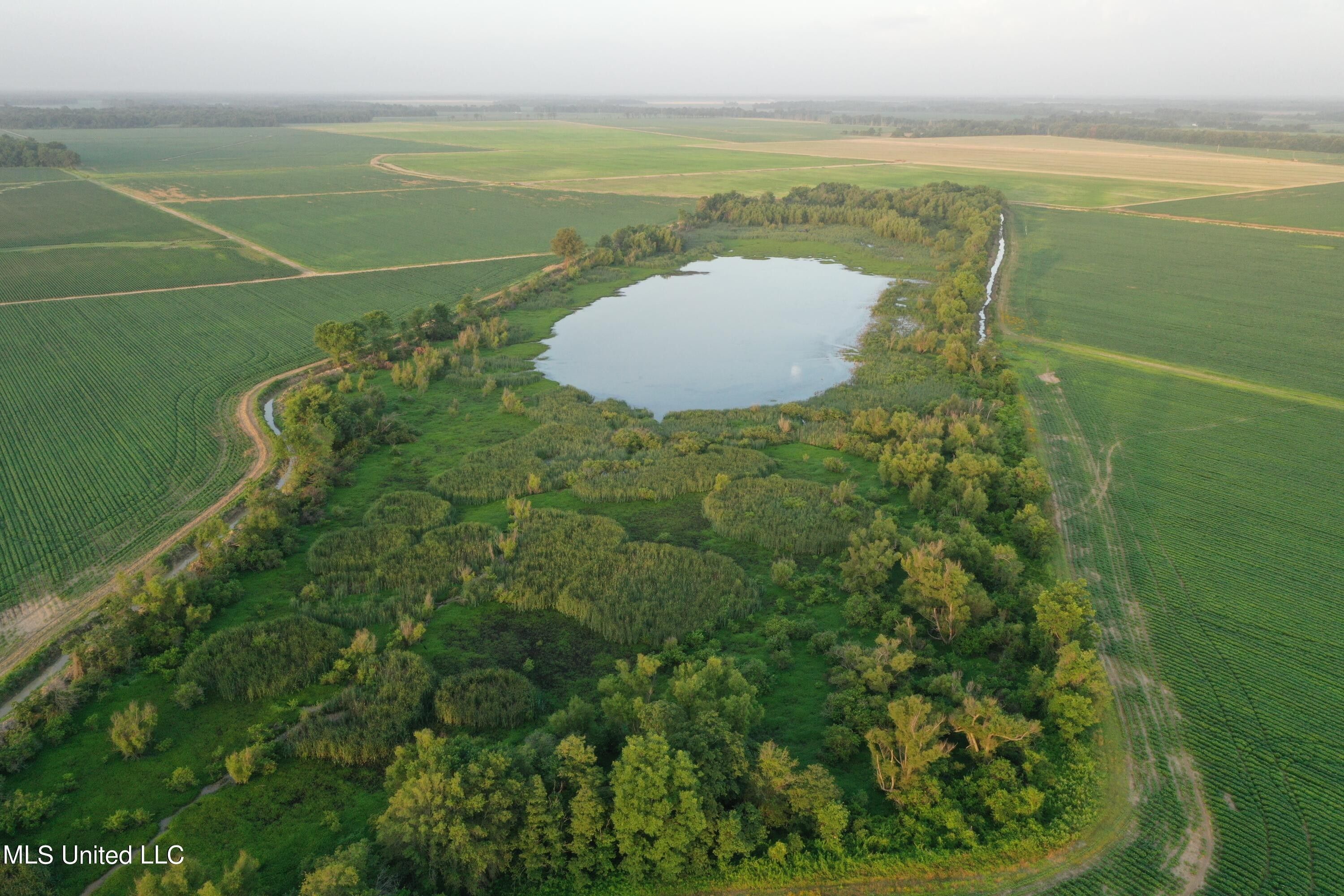 Drew, Sunflower County, MS Undeveloped Land, Lakefront Property