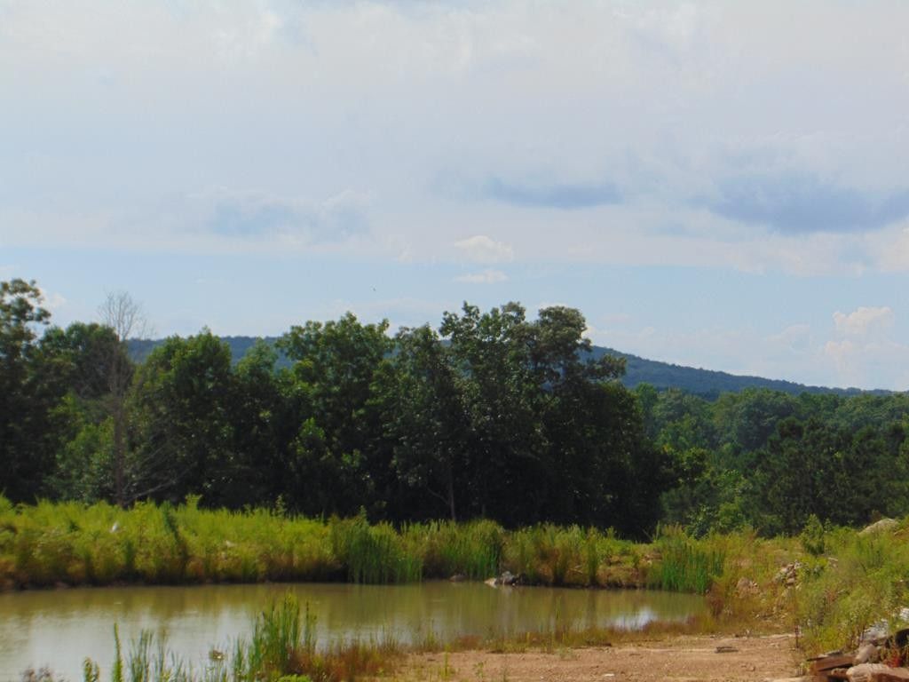 Graysville, Bledsoe County, TN Undeveloped Land for sale Property ID