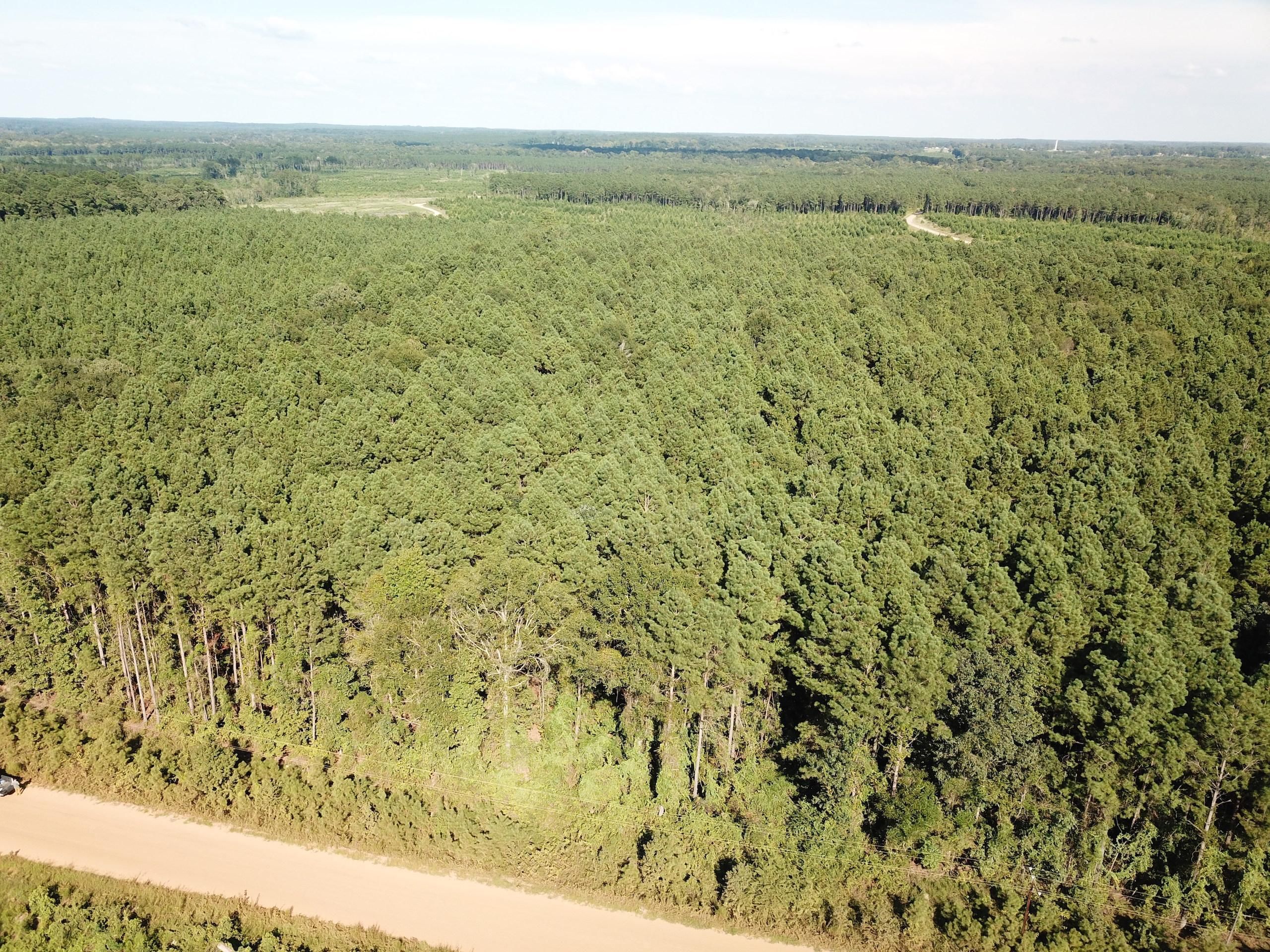 Truxno, Union Parish, LA Recreational Property, Timberland Property