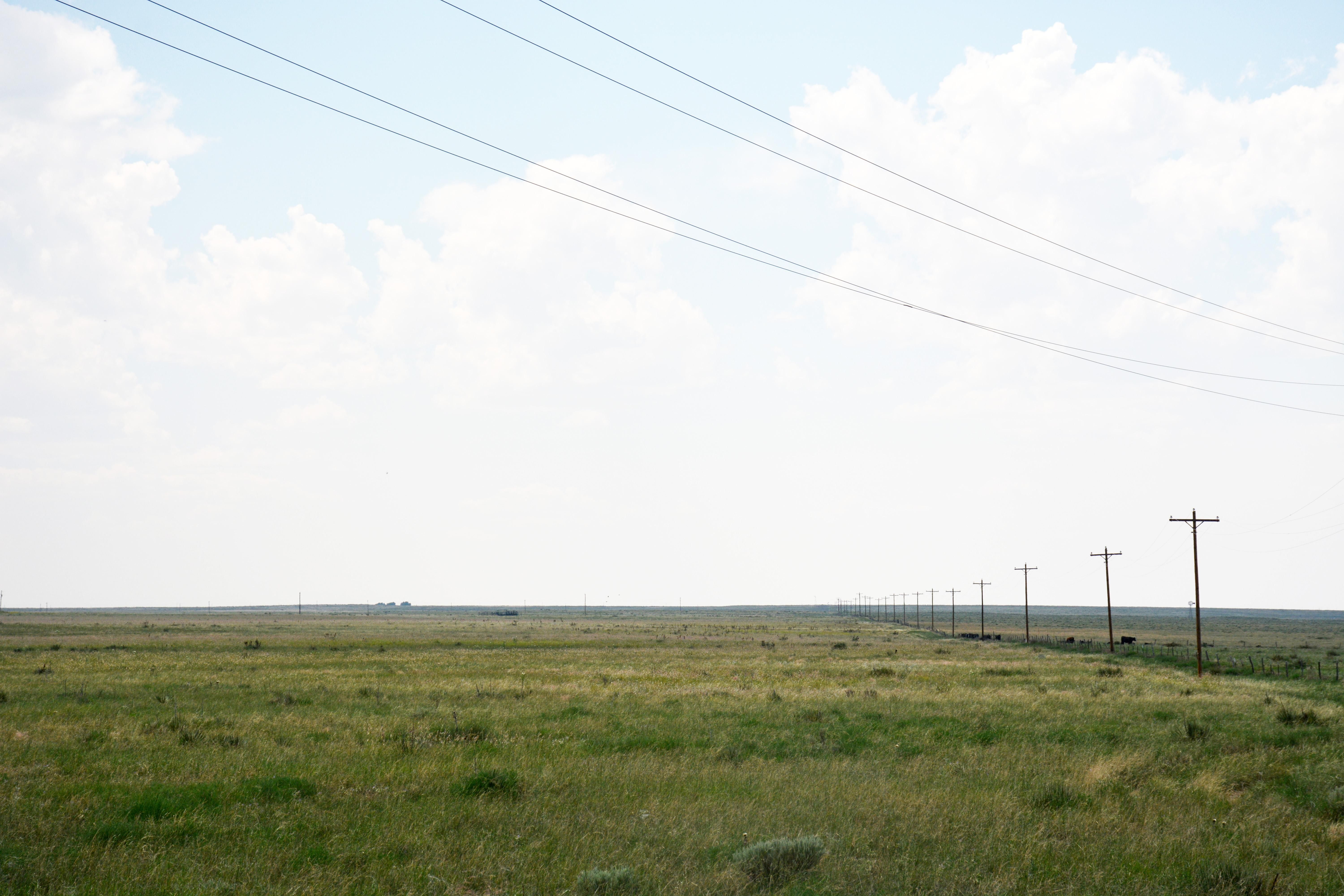Texline, Dallam County, TX Farms and Ranches for sale Property ID