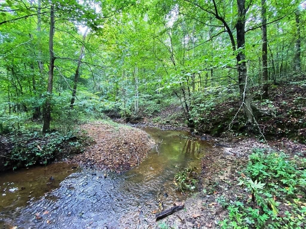 Cherokee, Colbert County, AL Farms and Ranches, Recreational Property