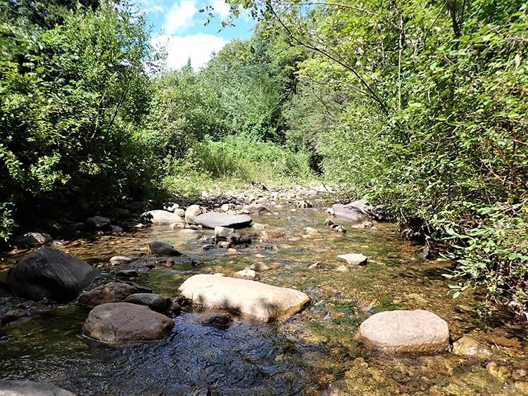 Topsham, Orange County, VT Riverfront Property, Waterfront Property for