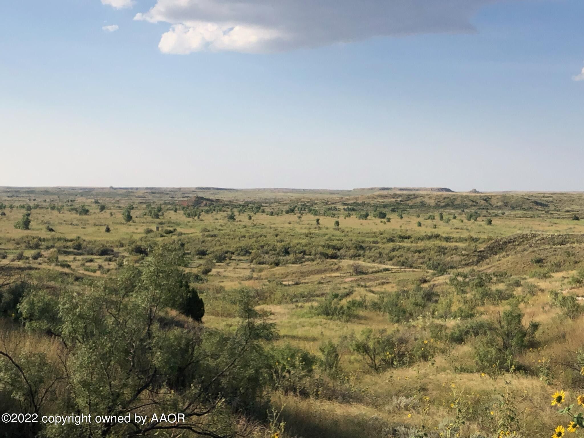Amarillo, Potter County, TX Undeveloped Land for sale Property ID