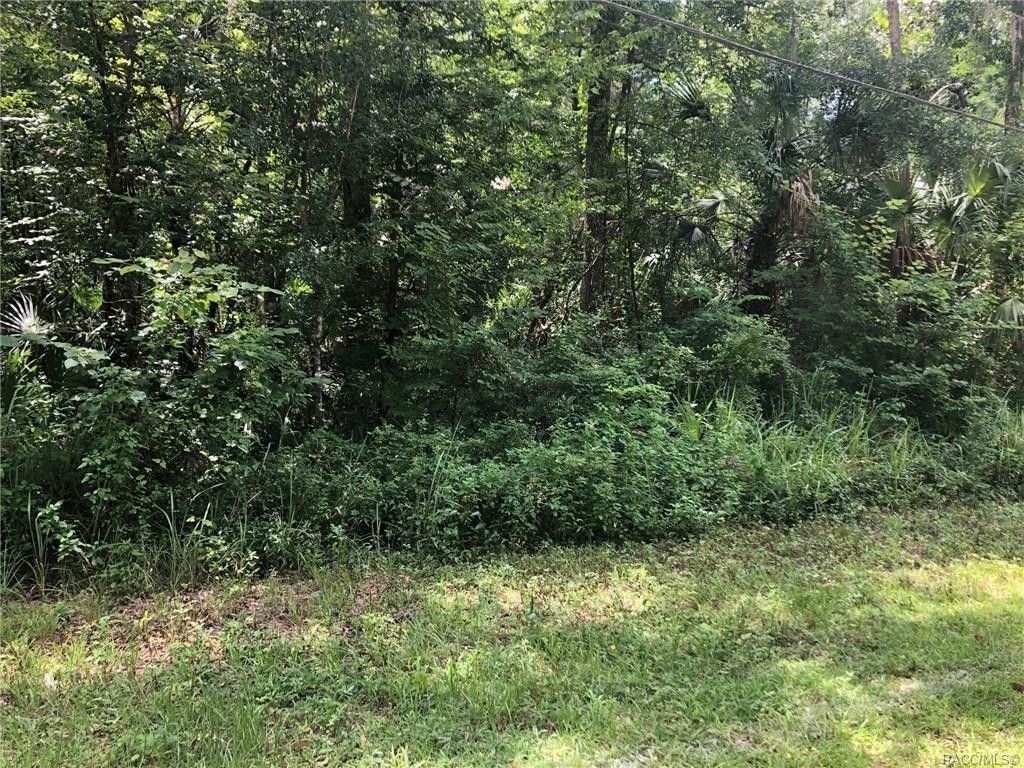 Homosassa, Citrus County, FL Undeveloped Land, Homesites for sale Property ID 335406390 LandWatch
