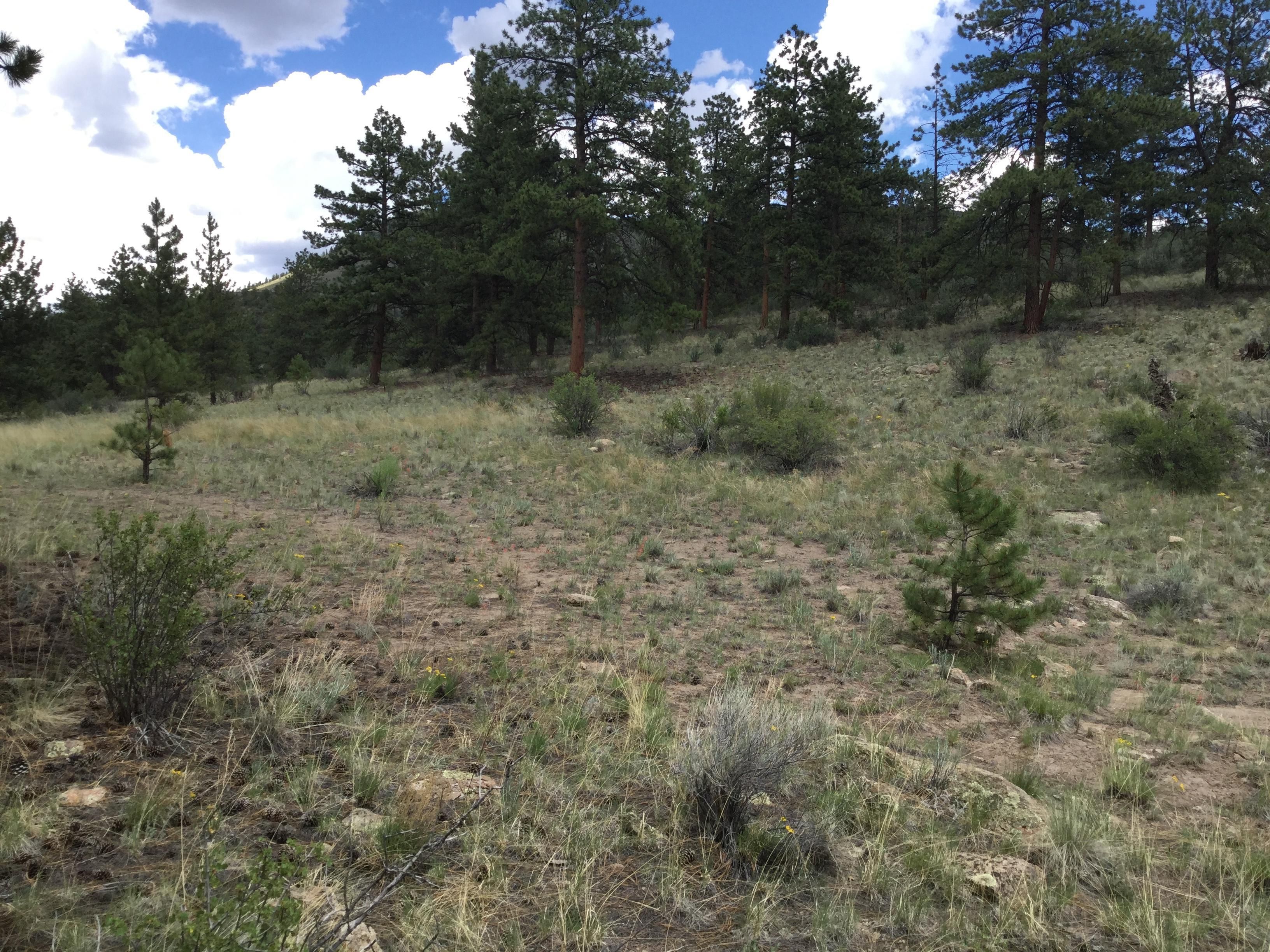 Salida, Chaffee County, CO Recreational Property, Undeveloped Land for