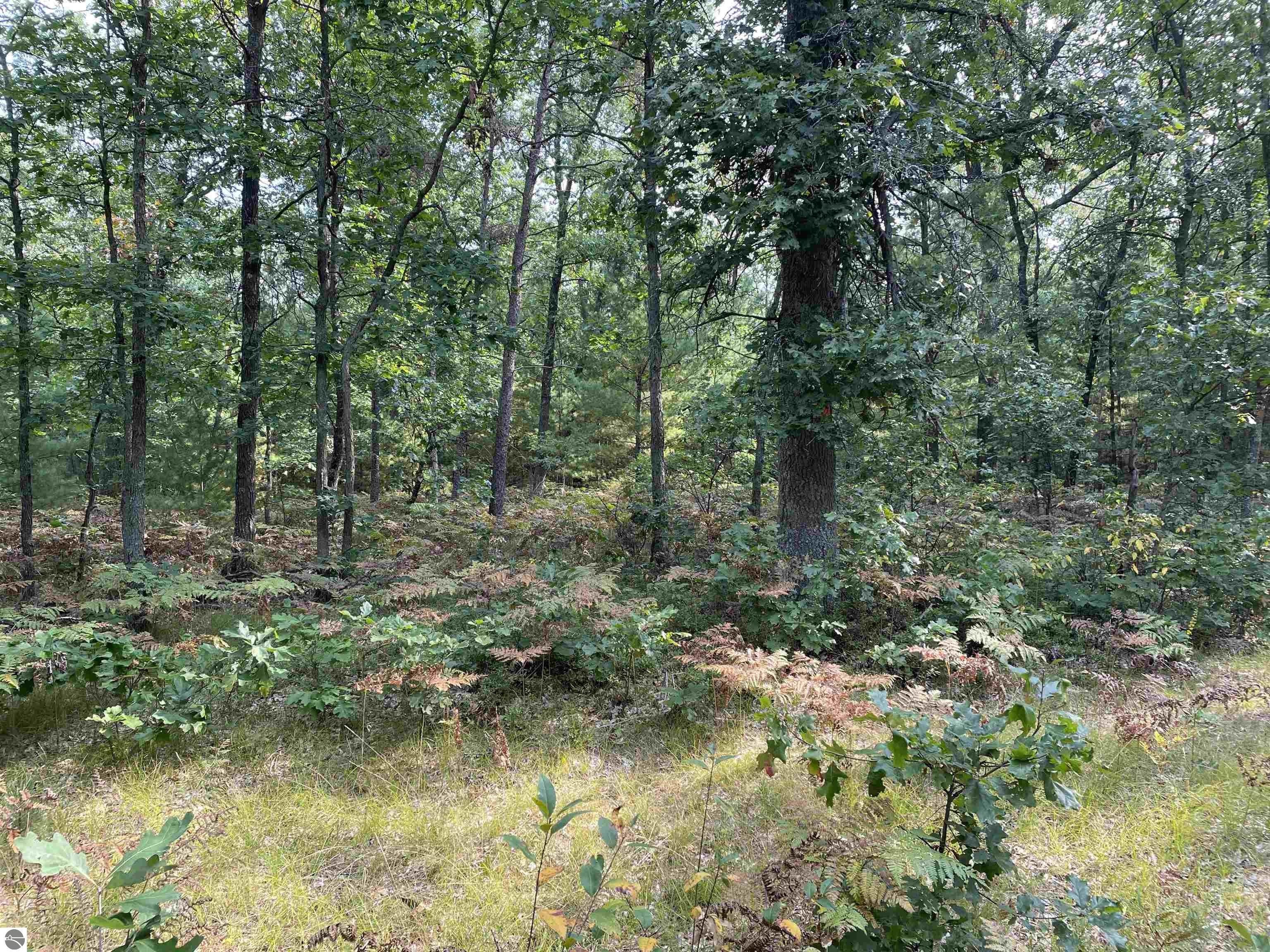 Free Soil, Mason County, MI Undeveloped Land for sale Property ID