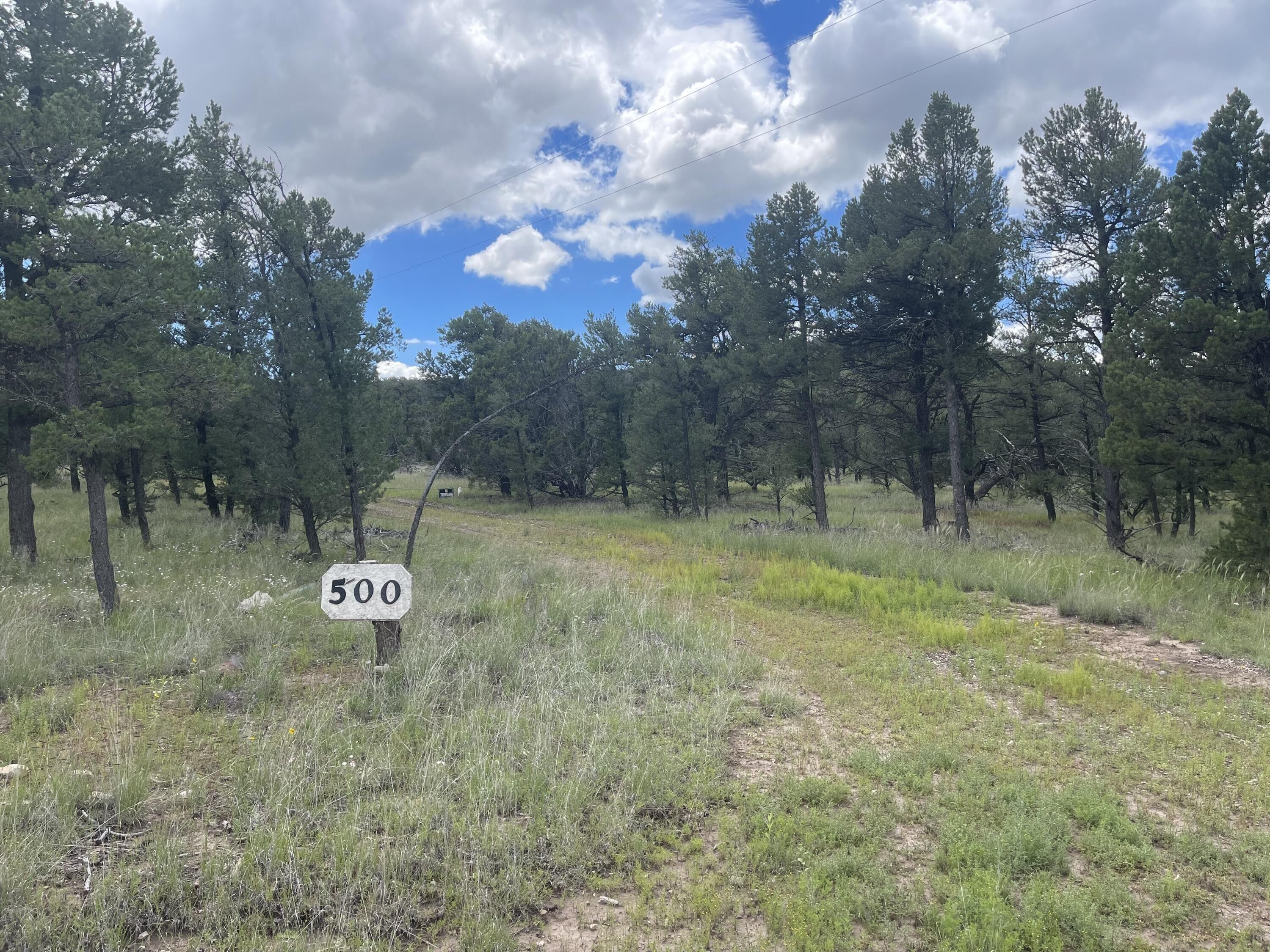 Datil, Catron County, NM Undeveloped Land for sale Property ID