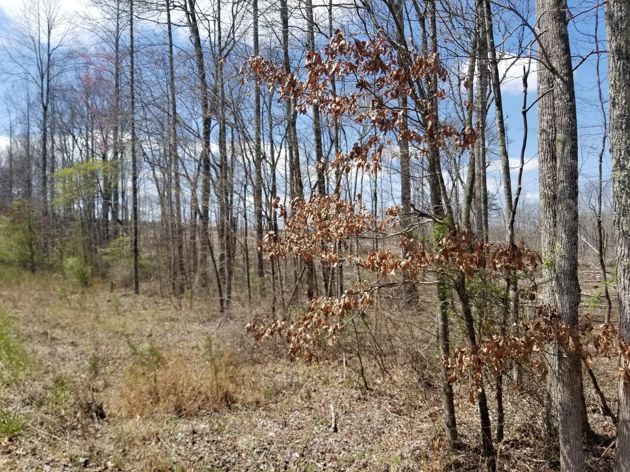 Tracy City, Grundy County, TN Homesites for sale Property ID 414824770