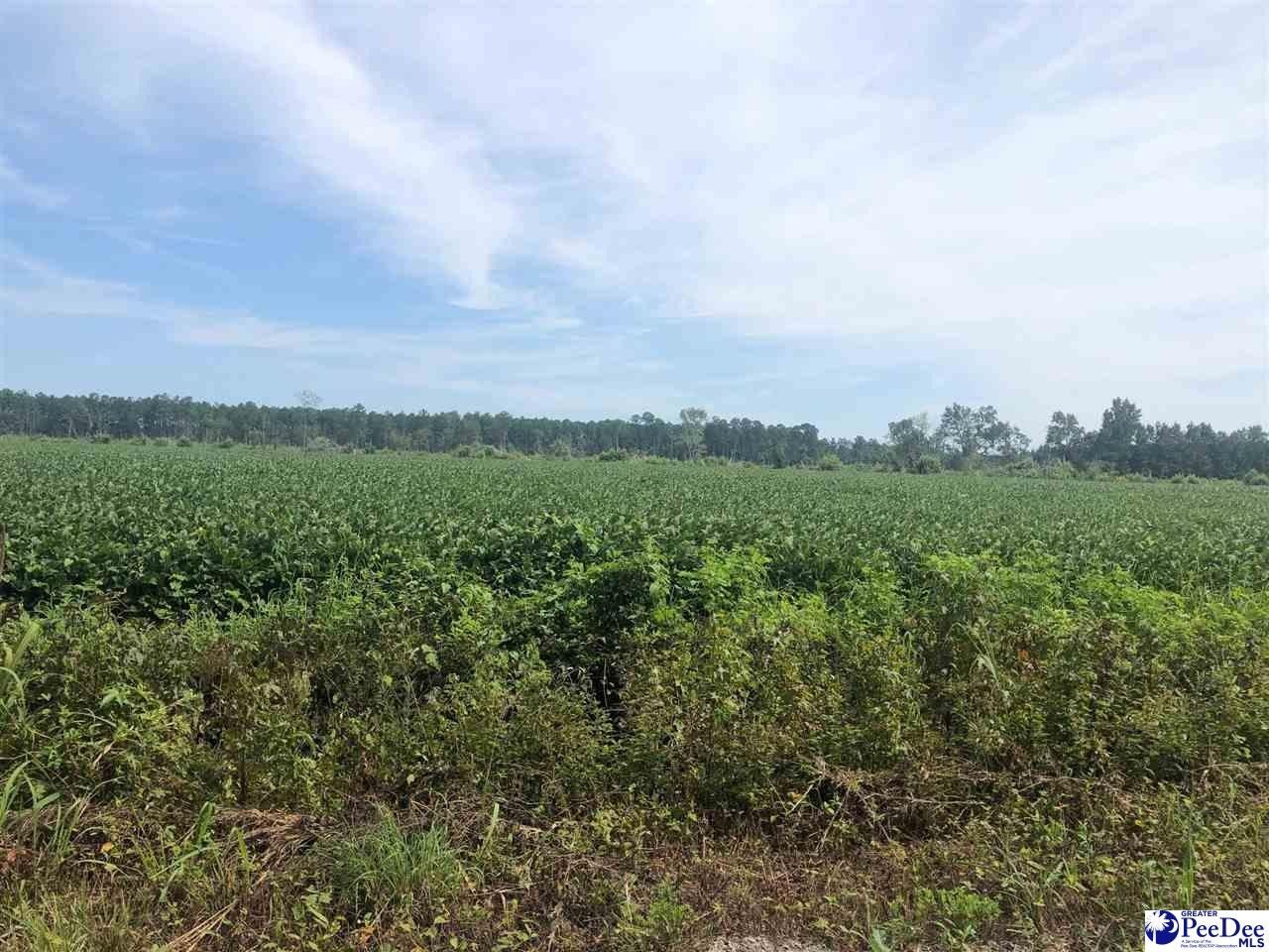 Lake City, Florence County, SC Farms and Ranches for sale Property ID