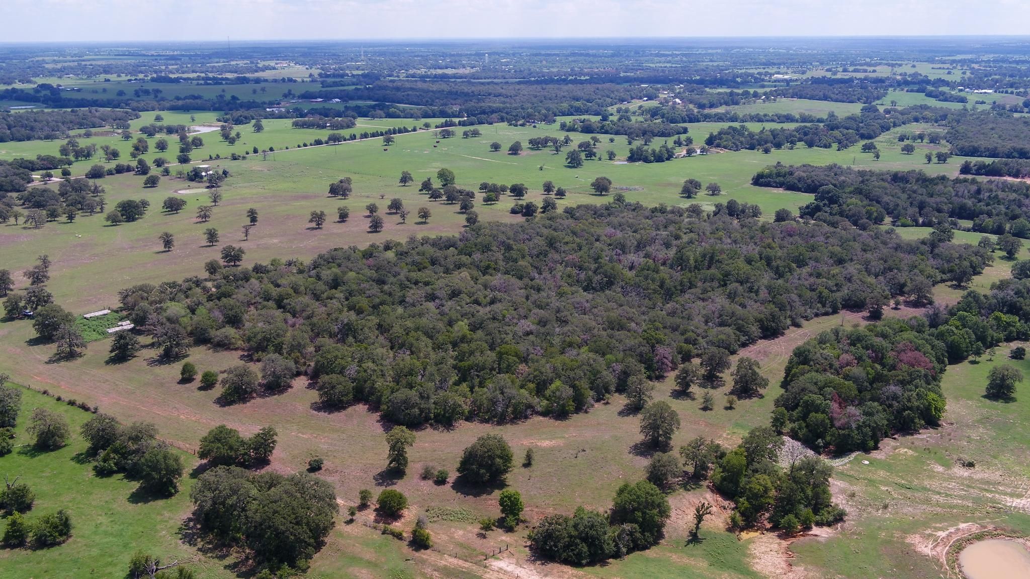 Lexington, Lee County, TX Recreational Property, Undeveloped Land