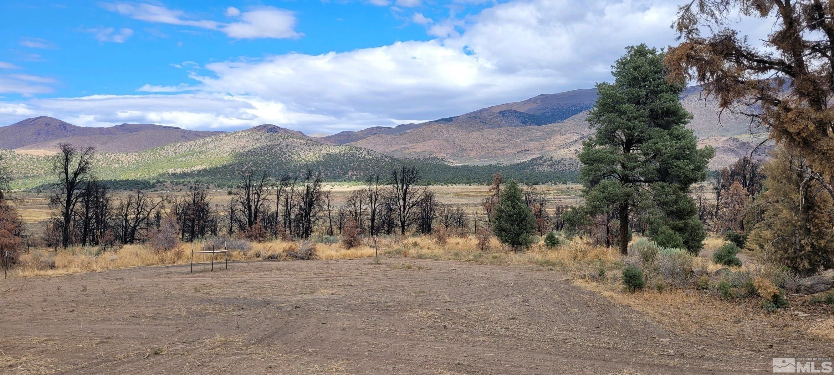 Gardnerville, Douglas County, NV Undeveloped Land for sale Property ID