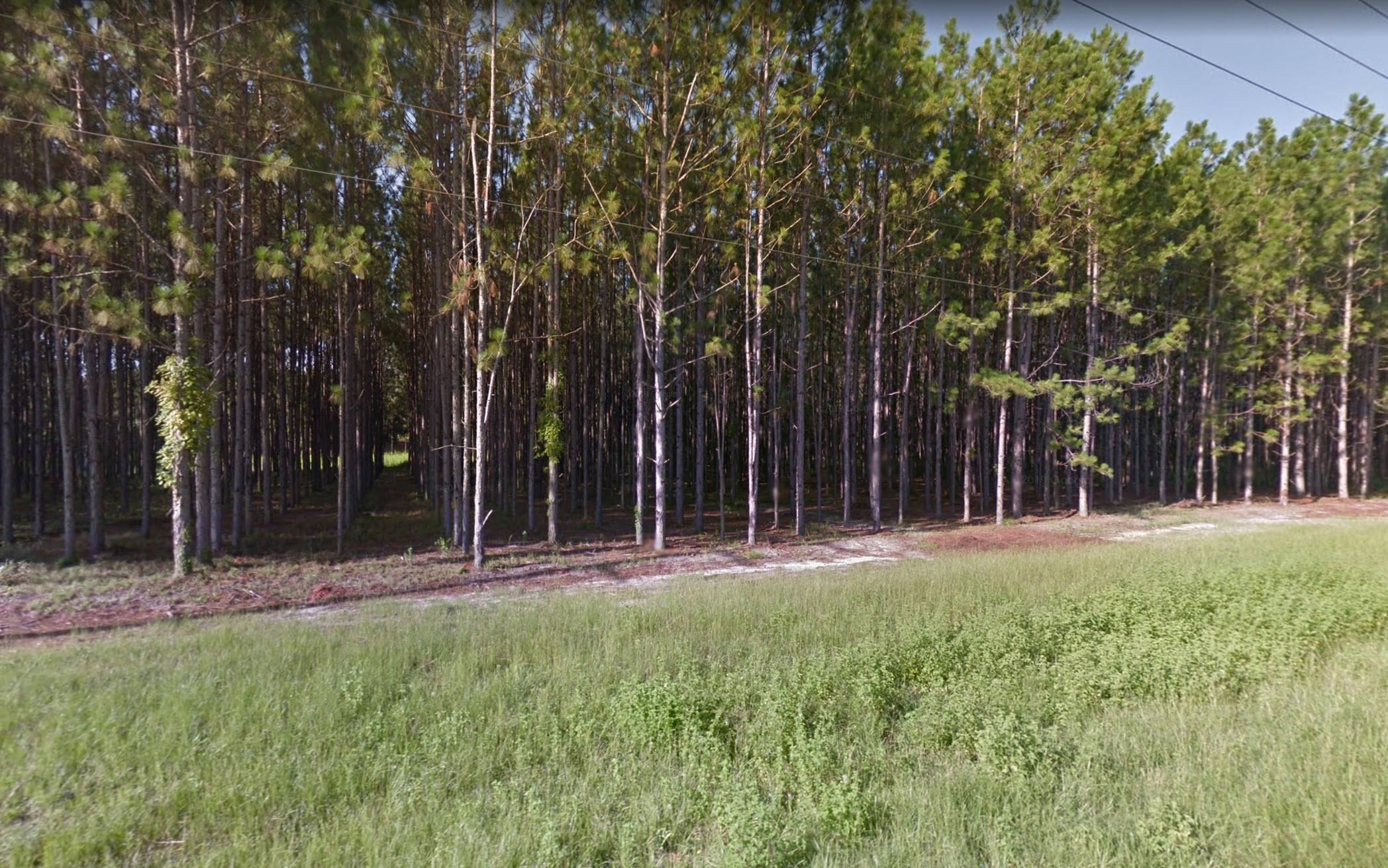 Live Oak, Suwannee County, FL Recreational Property, Undeveloped Land
