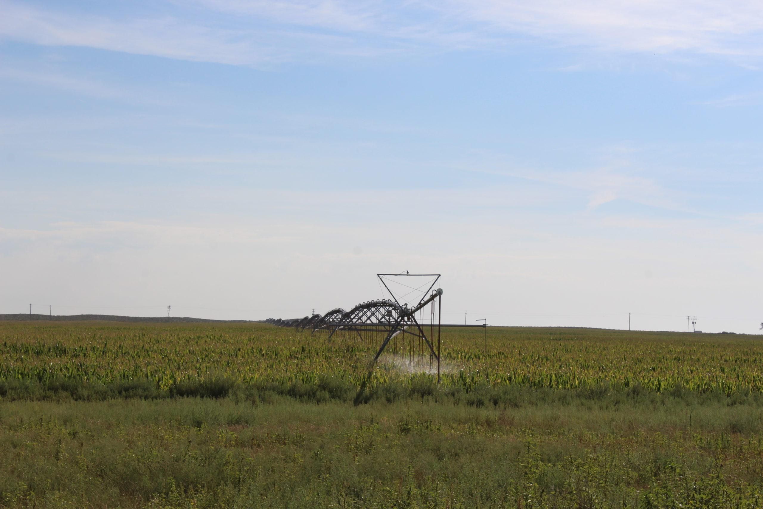 Rolla, Morton County, KS Farms and Ranches for sale Property ID