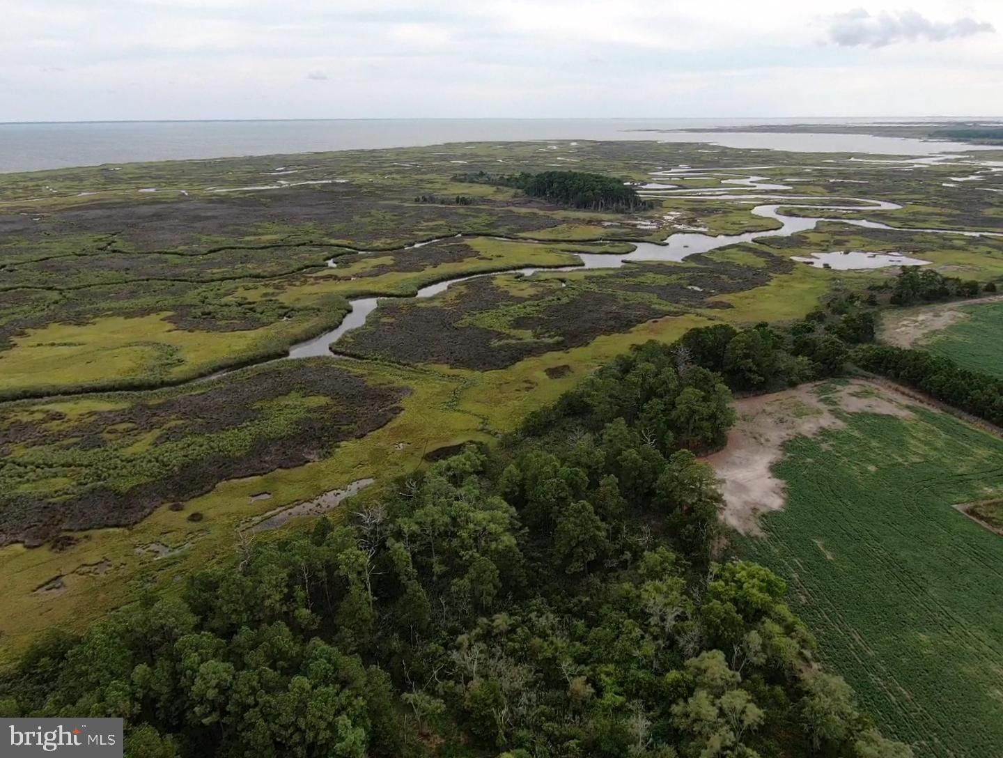 Crisfield, Somerset County, MD Farms and Ranches for sale Property ID