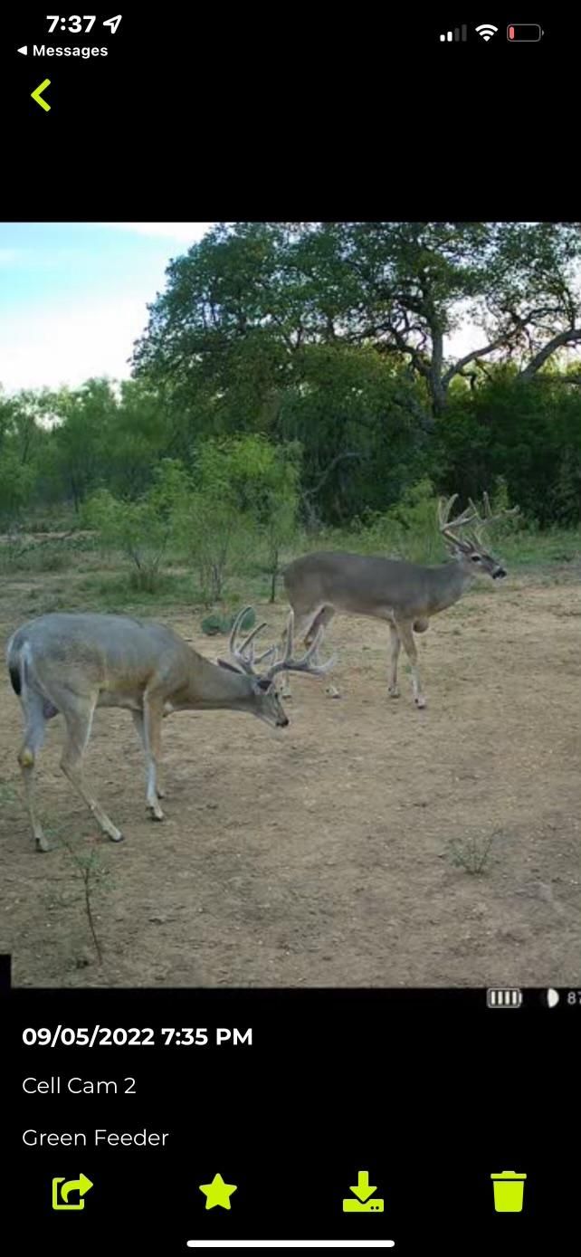 Goldthwaite, Mills County, TX Farms and Ranches, Recreational Property