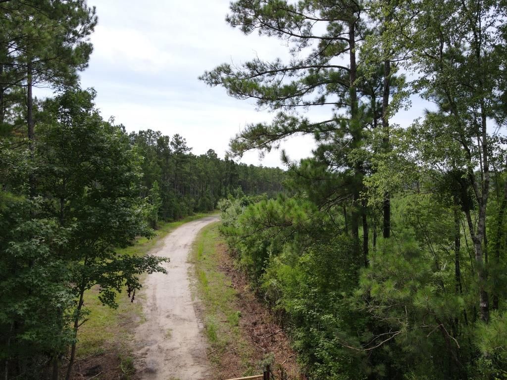 Pireway, Brunswick County, NC Recreational Property, Timberland