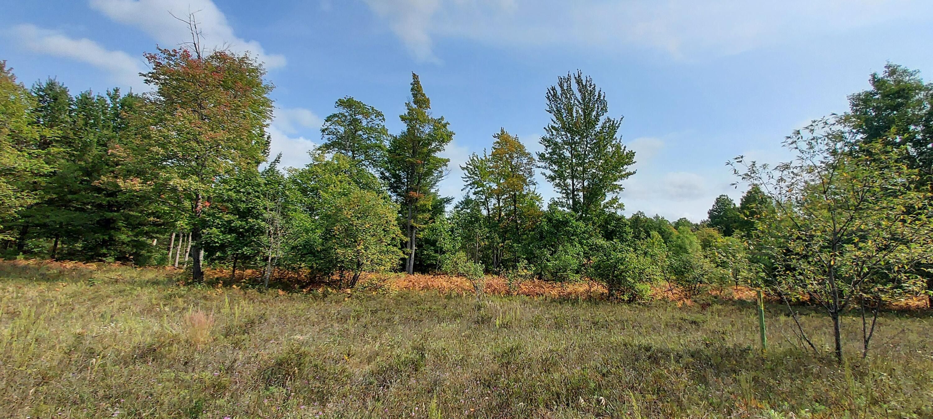 Gaylord, Otsego County, MI Undeveloped Land for sale Property ID