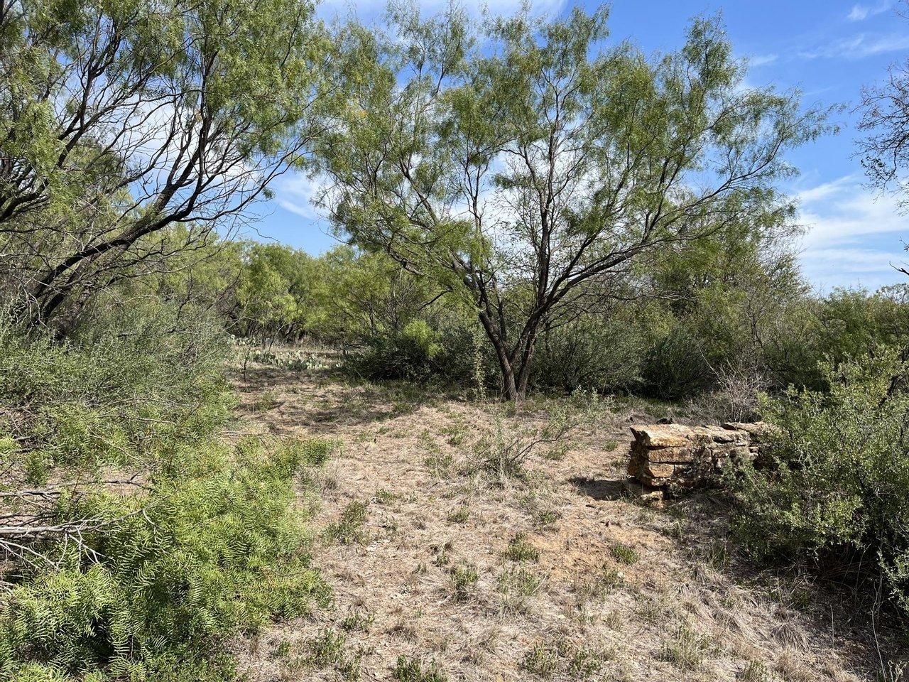 Cisco, Callahan County, TX Farms and Ranches, Hunting Property for sale