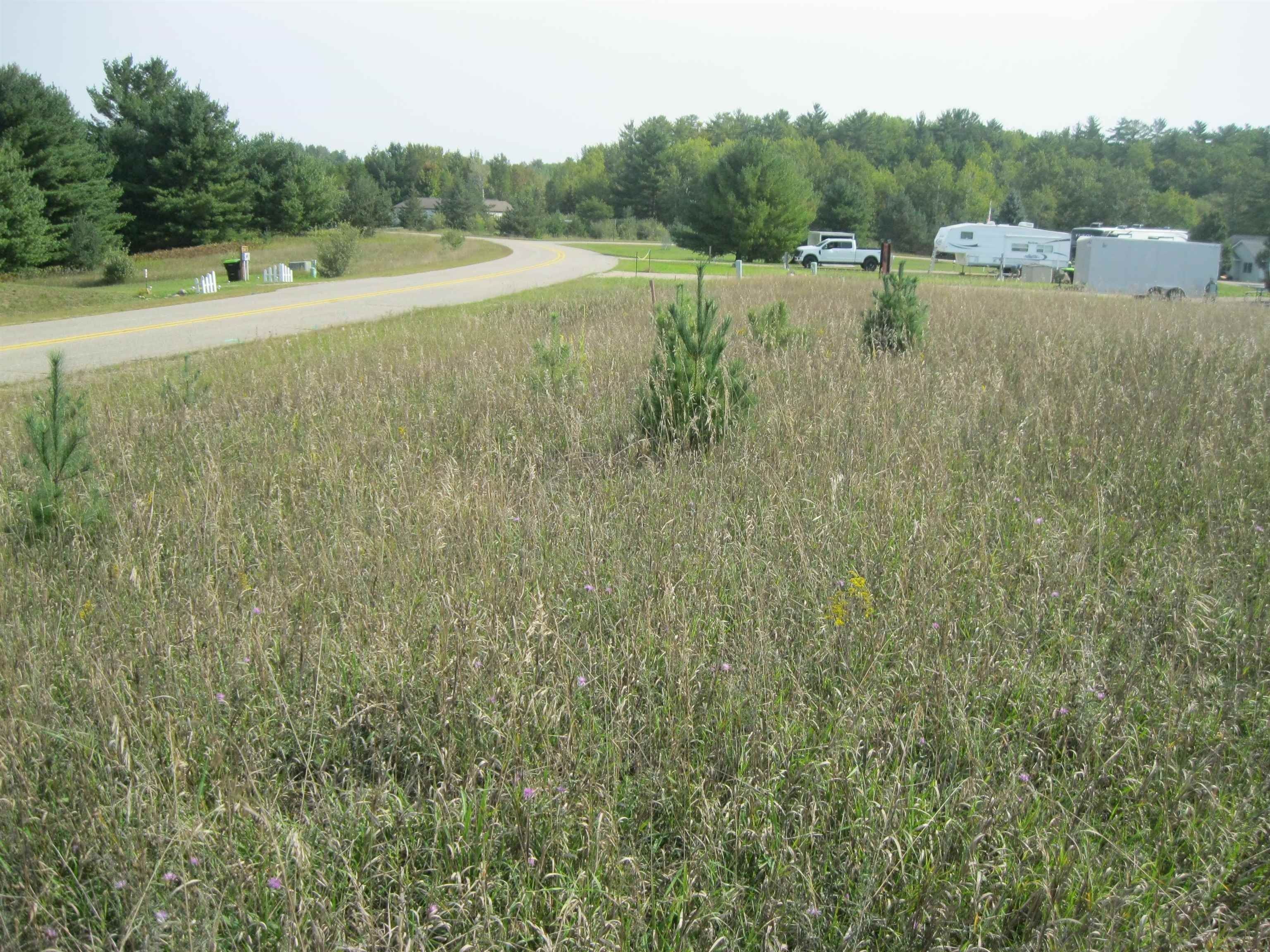 Gladwin, Gladwin County, MI Undeveloped Land, Homesites for sale