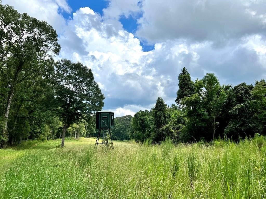 Bains, West Feliciana Parish, LA Undeveloped Land for sale Property ID