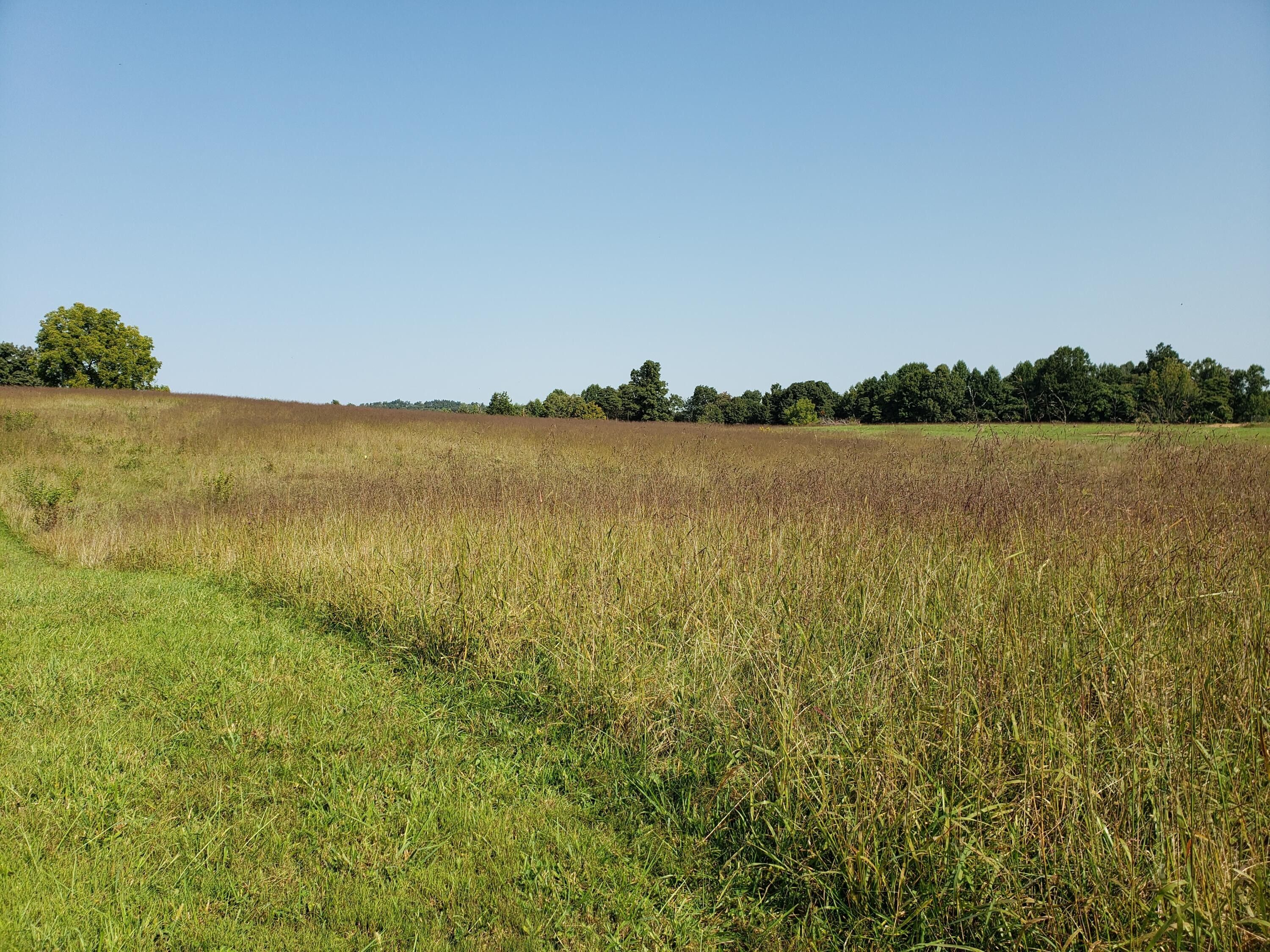 Eubank, Pulaski County, KY Undeveloped Land for sale Property ID