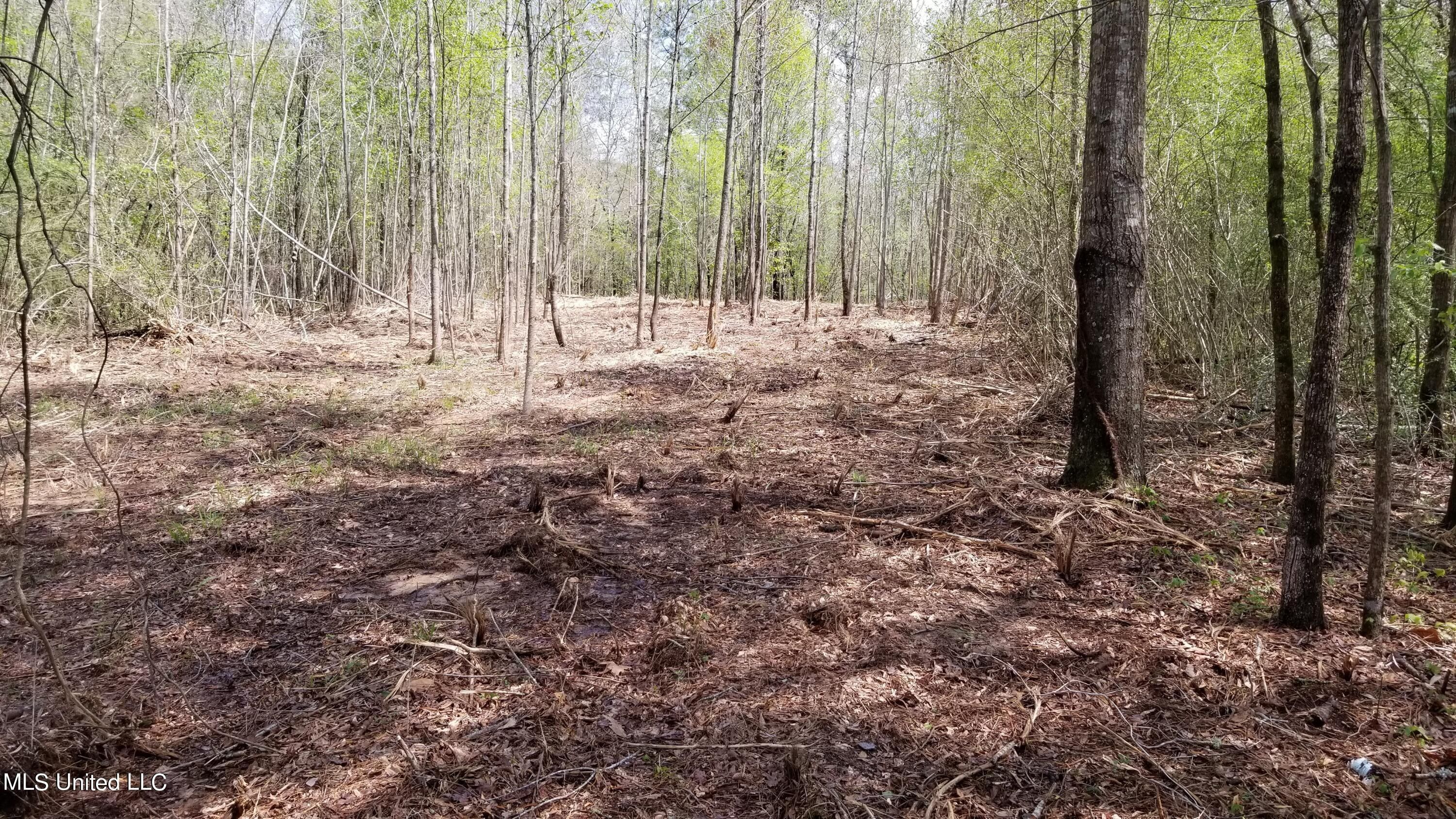 Harrisville, Simpson County, MS Farms and Ranches for sale Property ID