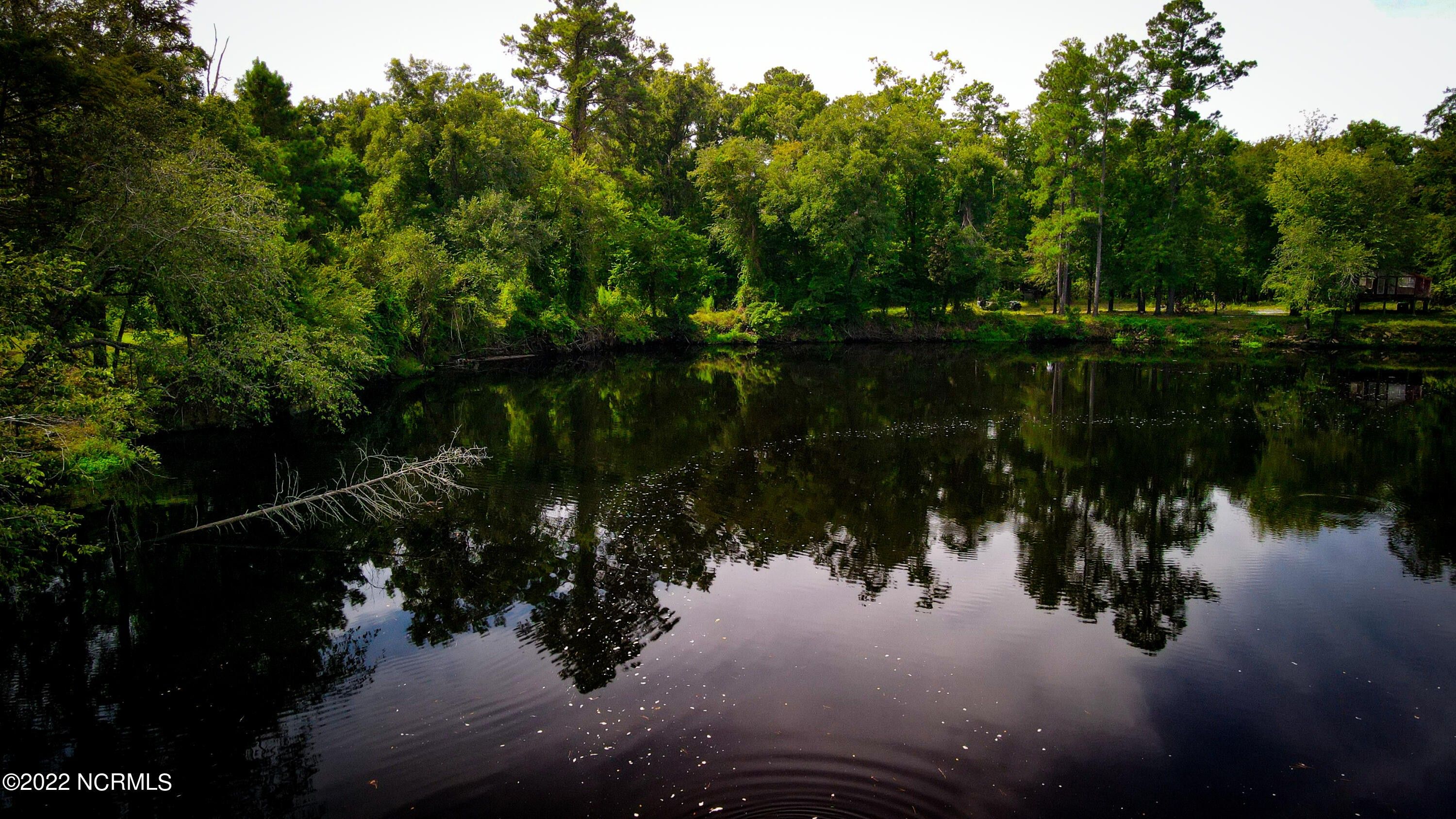 Burgaw, Pender County, NC Farms and Ranches, Lakefront Property