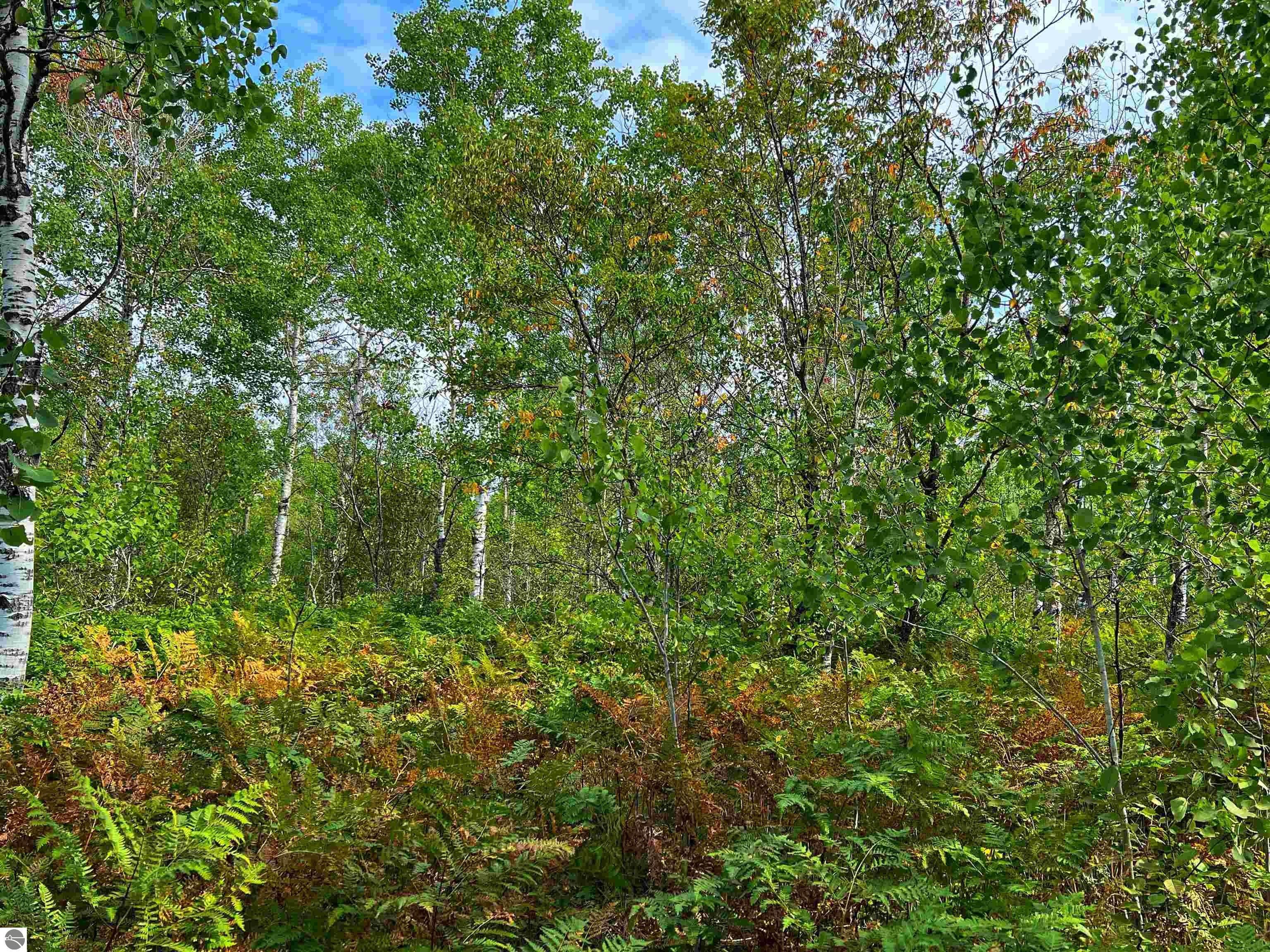 Mancelona, Antrim County, MI Undeveloped Land, Lakefront Property