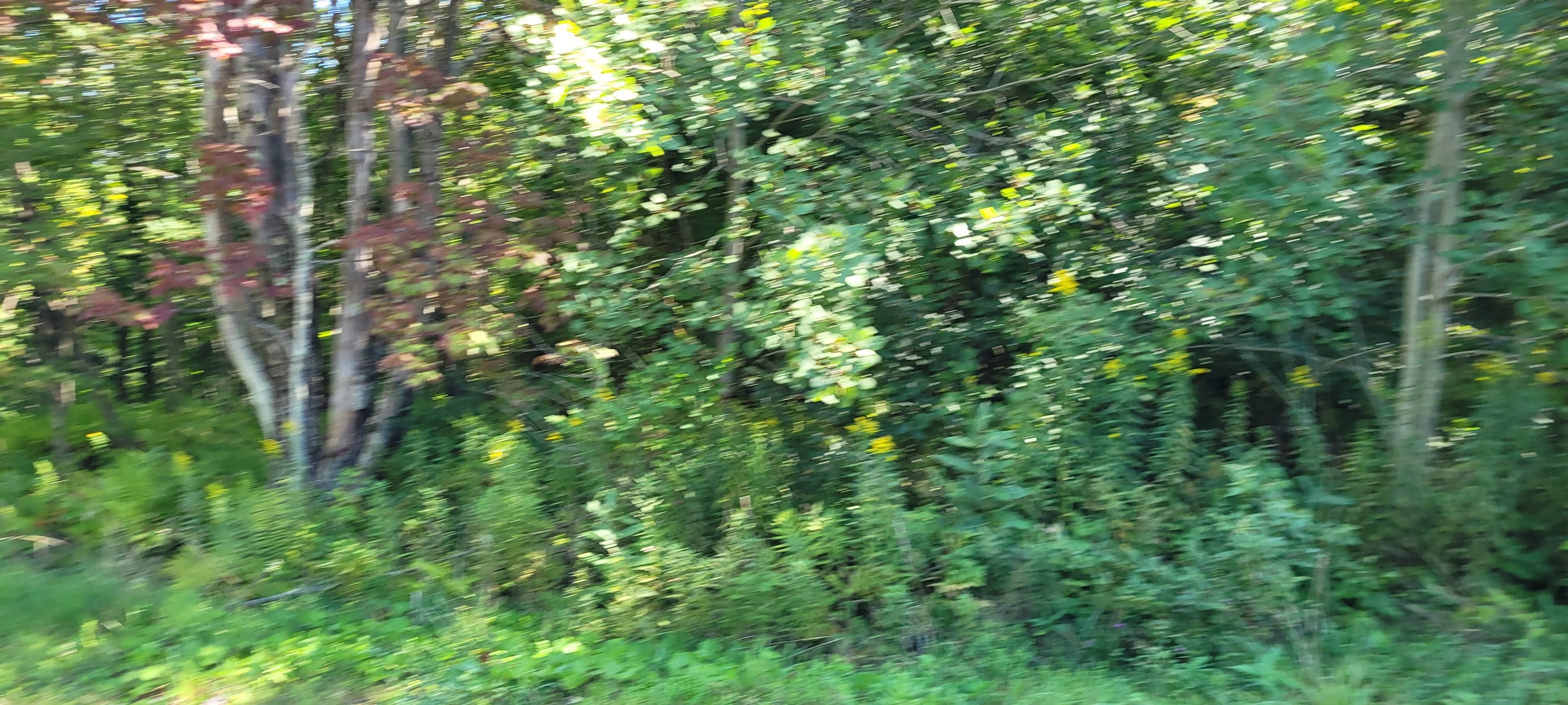 Ridgeview road, Plymouth, NY 13815 LandWatch