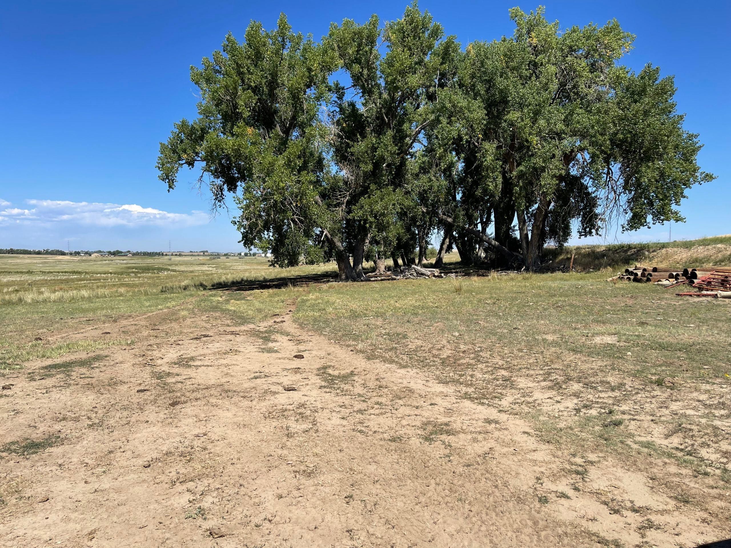 Hudson, Weld County, CO Farms and Ranches, Horse Property for sale