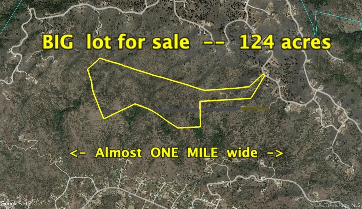 Tehachapi, Kern County, CA Undeveloped Land for sale Property ID