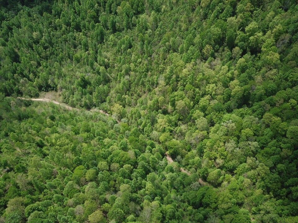 Hinkle, Knox County, KY Undeveloped Land for sale Property ID