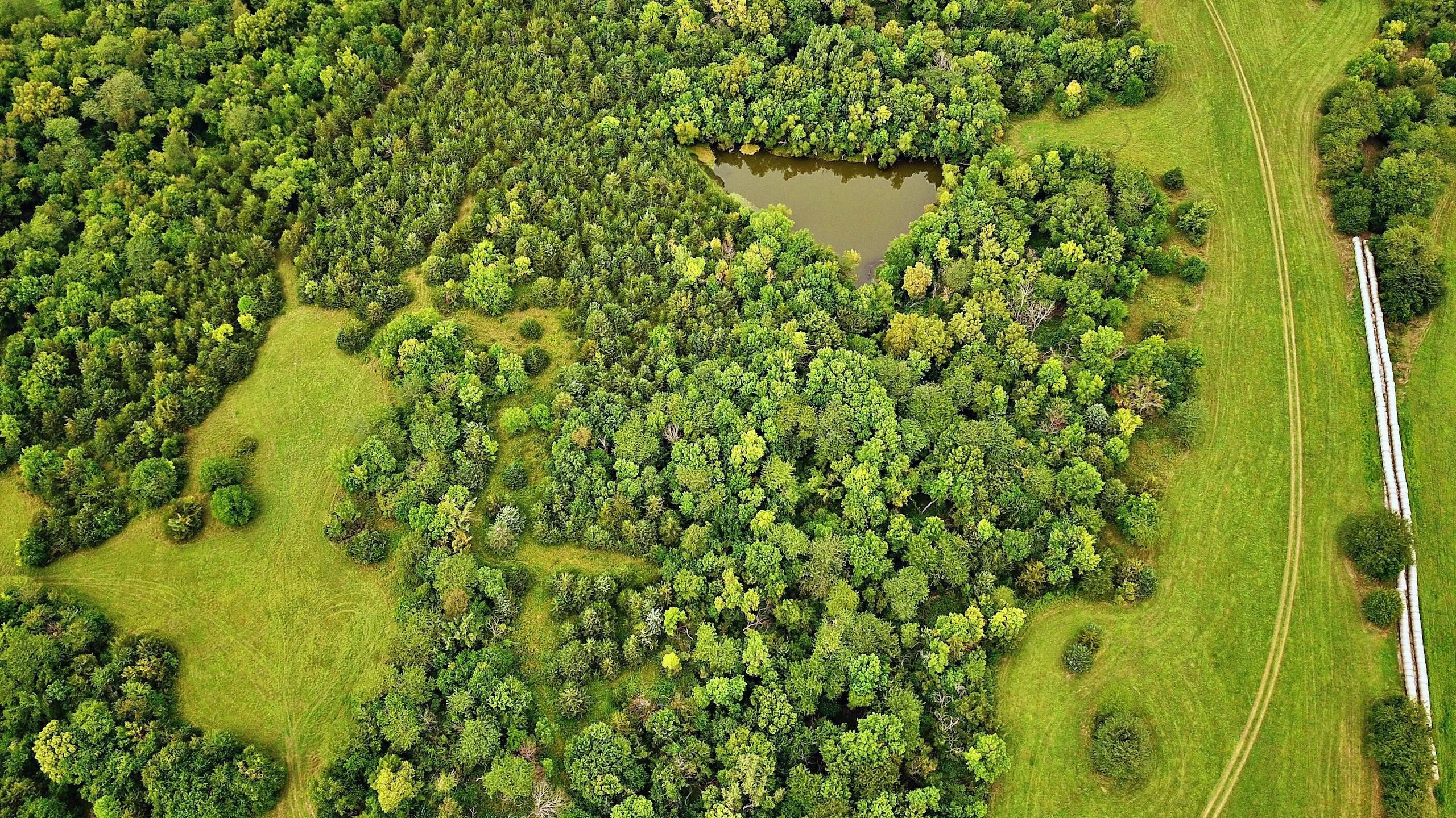 Grant City, Worth County, MO Farms and Ranches, Timberland Property