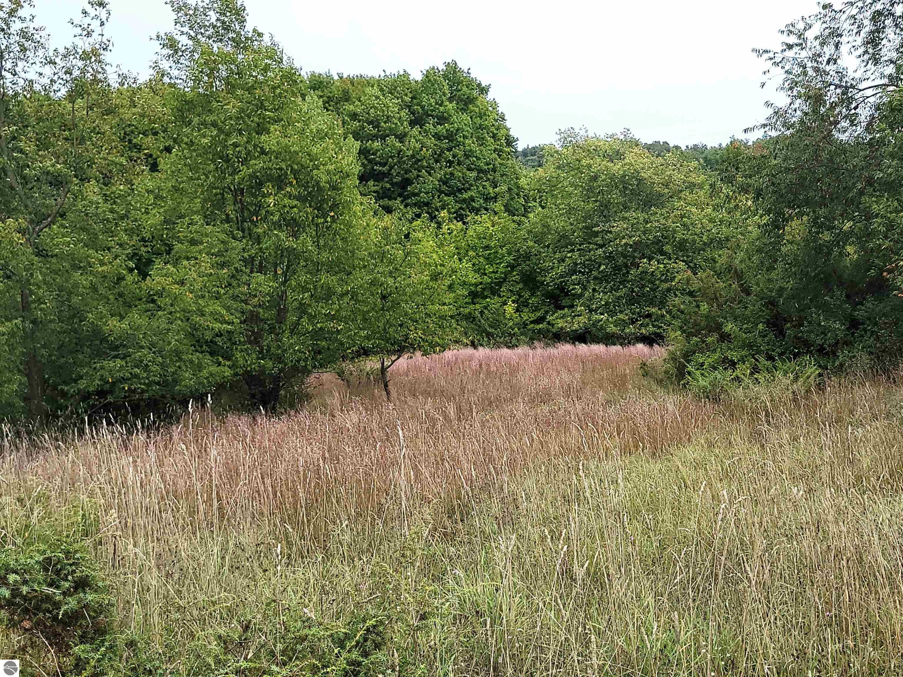 Alden, Kalkaska County, MI Undeveloped Land, Lakefront Property