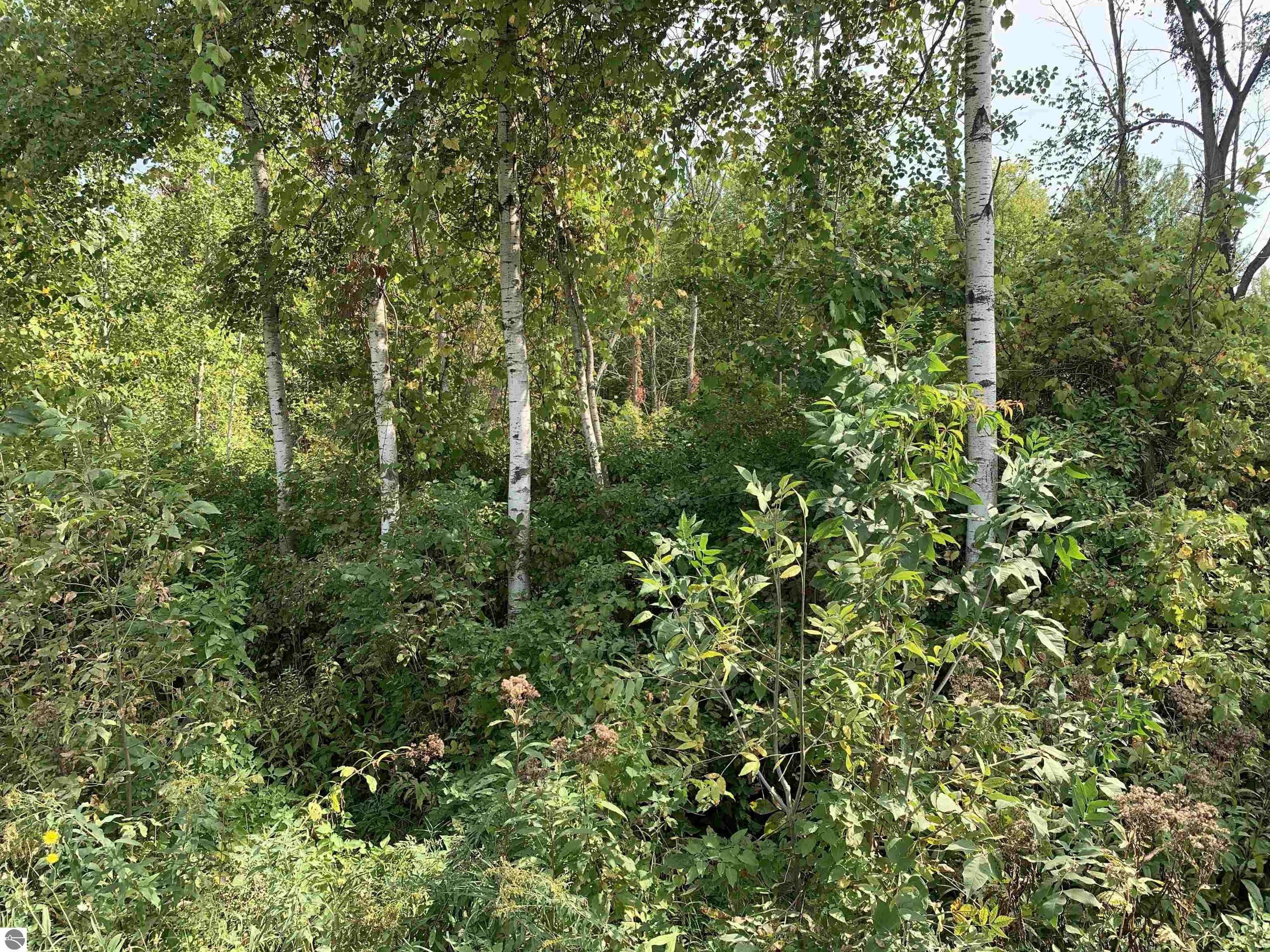 Rhodes, Bay County, MI Undeveloped Land, Lakefront Property, Waterfront