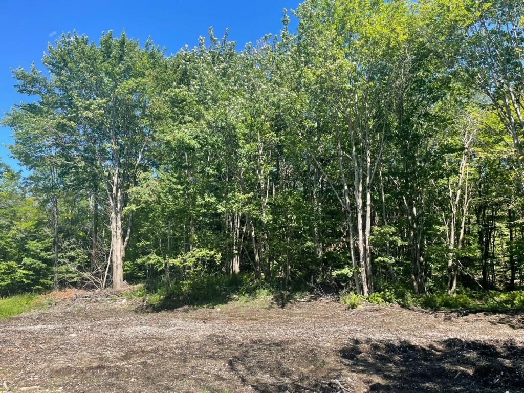 Lacona, Oswego County, NY Recreational Property, Hunting Property for