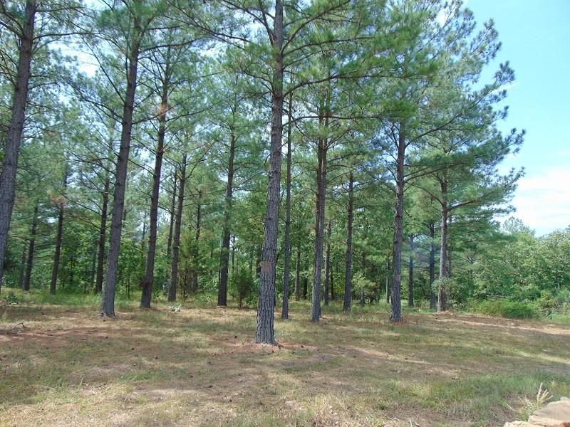 Wister, Le Flore County, OK Recreational Property, Hunting Property for